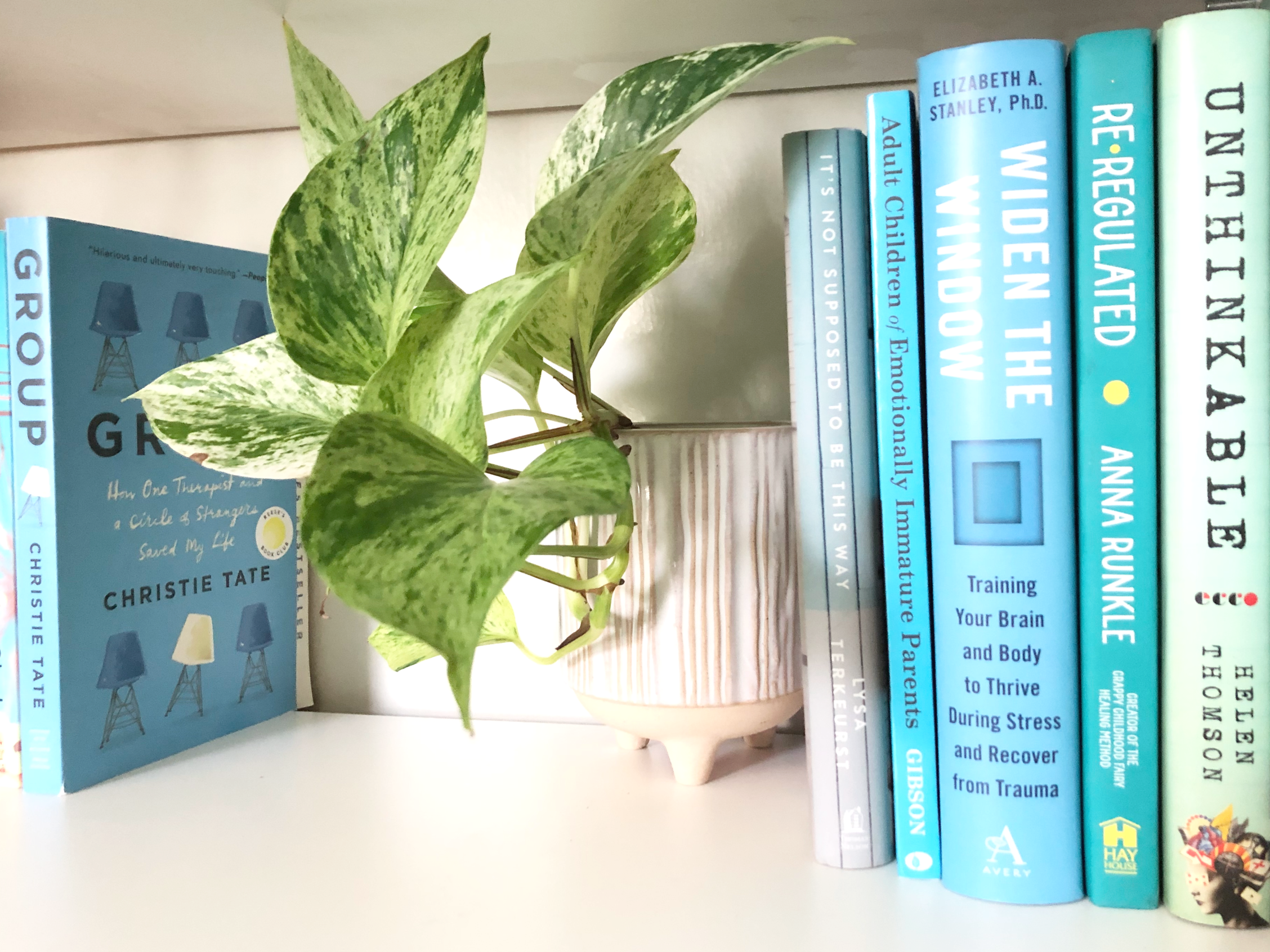 An image of books used for group therapy with a plant to create a calm atmosphere.