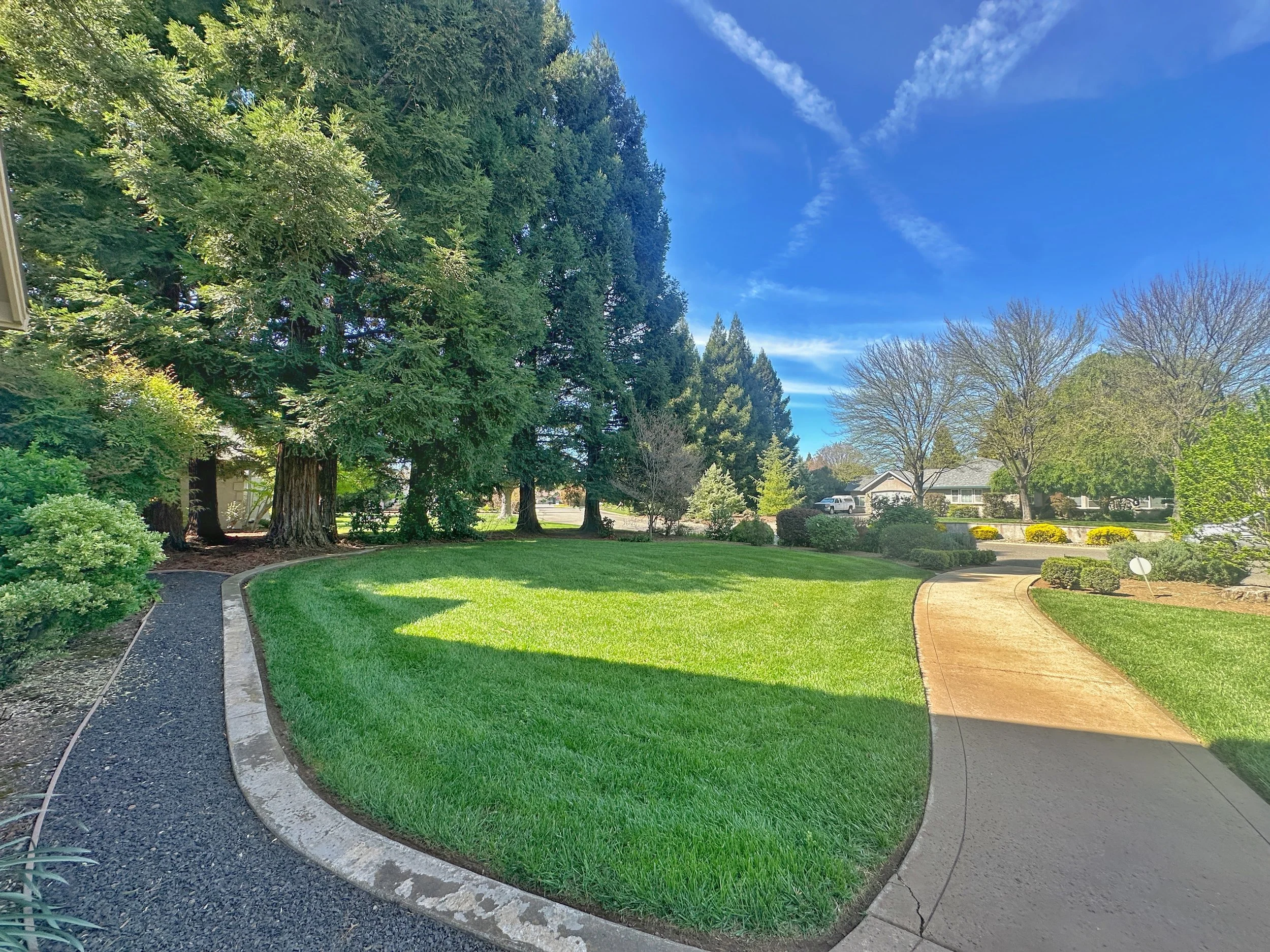 A well-maintained suburban front yard with lush green grass, a concrete pathway, large trees, small bushes, and a white house with a garage in the background under a bright blue sky.