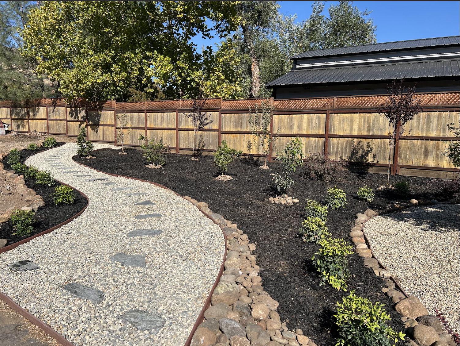 A landscaped backyard with a gravel pathway, young trees, small bushes, and a wooden fence under a clear blue sky.