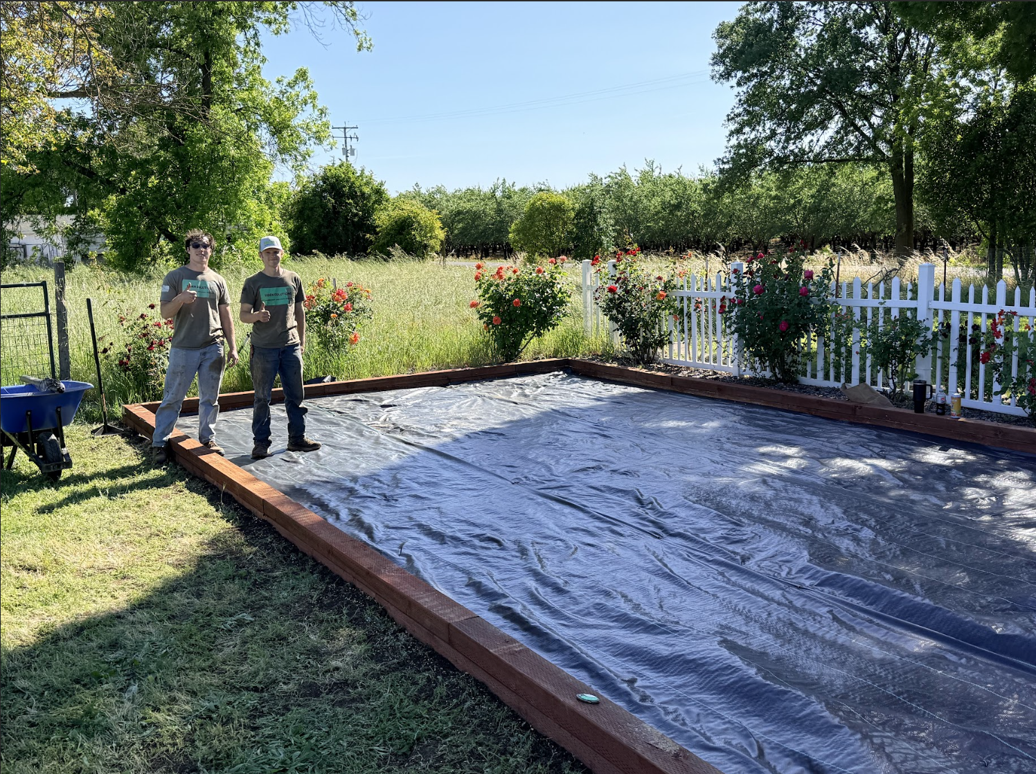 Two men standing next to a garden bed covered with black plastic sheeting, surrounded by a white picket fence and blooming roses, in a sunny outdoor setting.