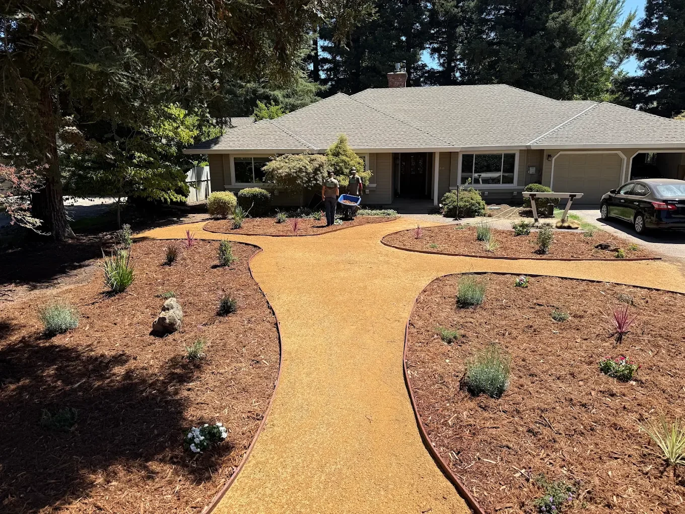Front yard of a house with newly installed yellow-colored pathway, surrounded by landscaped garden beds with small plants and mulch. Two workers are near the entrance, one holding a wheelbarrow. The house has large windows and a gray roof, with a car
