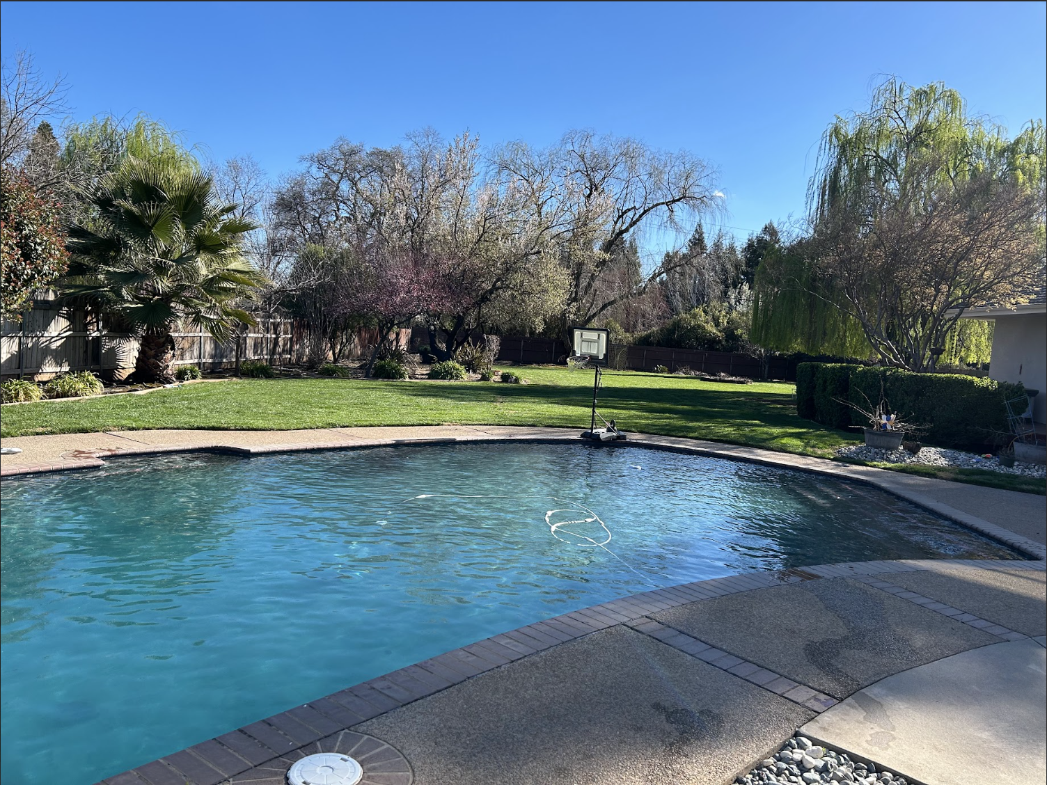 Backyard with a swimming pool, green lawn, various trees, a basketball hoop, and garden decorations on a sunny day.