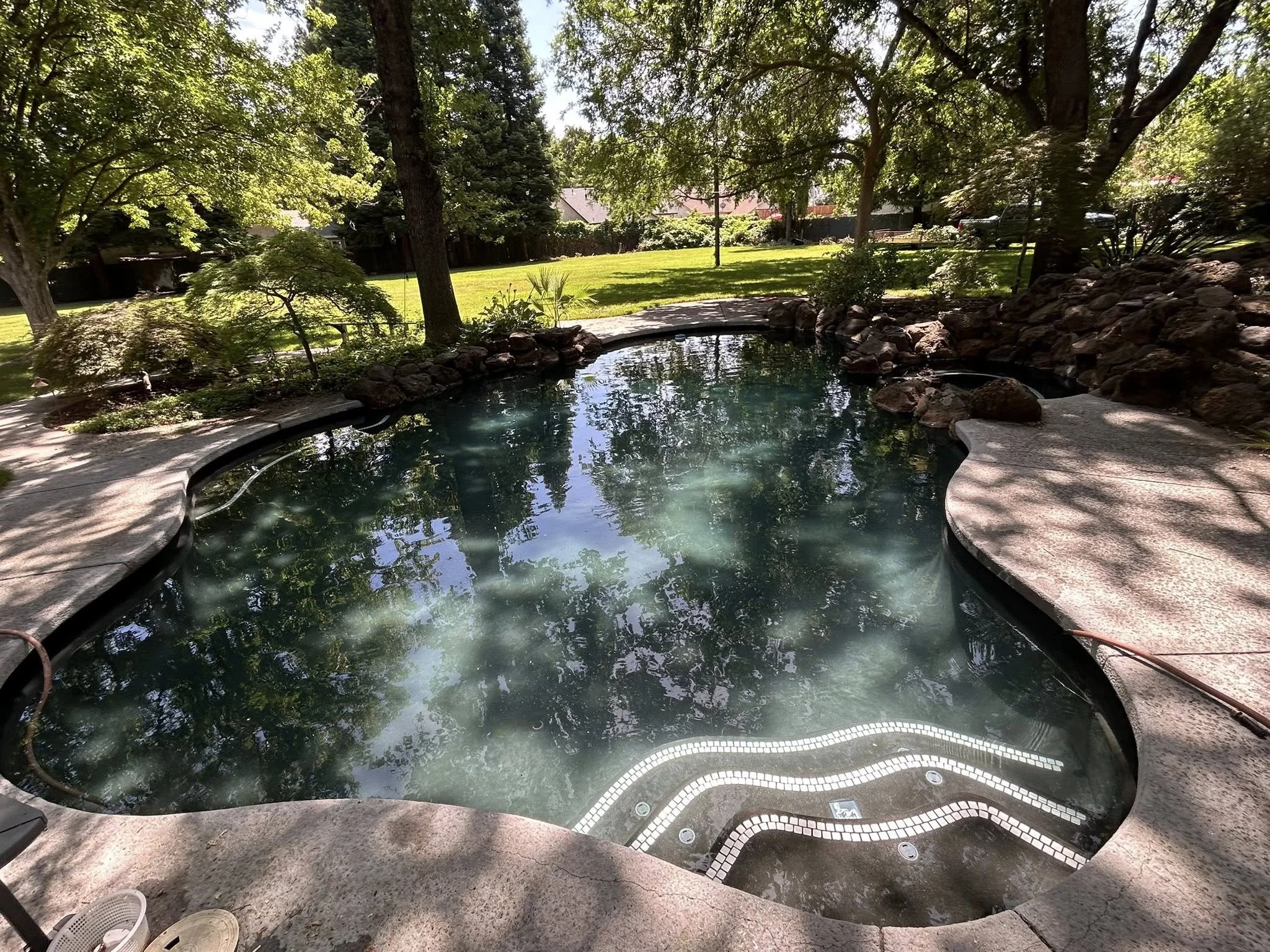 A backyard with a swimming pool surrounded by trees, bushes, and a grassy area. The pool has a curved shape with a stone border, and there are three steps into the pool near the edge. The backyard is partially shaded by the trees.