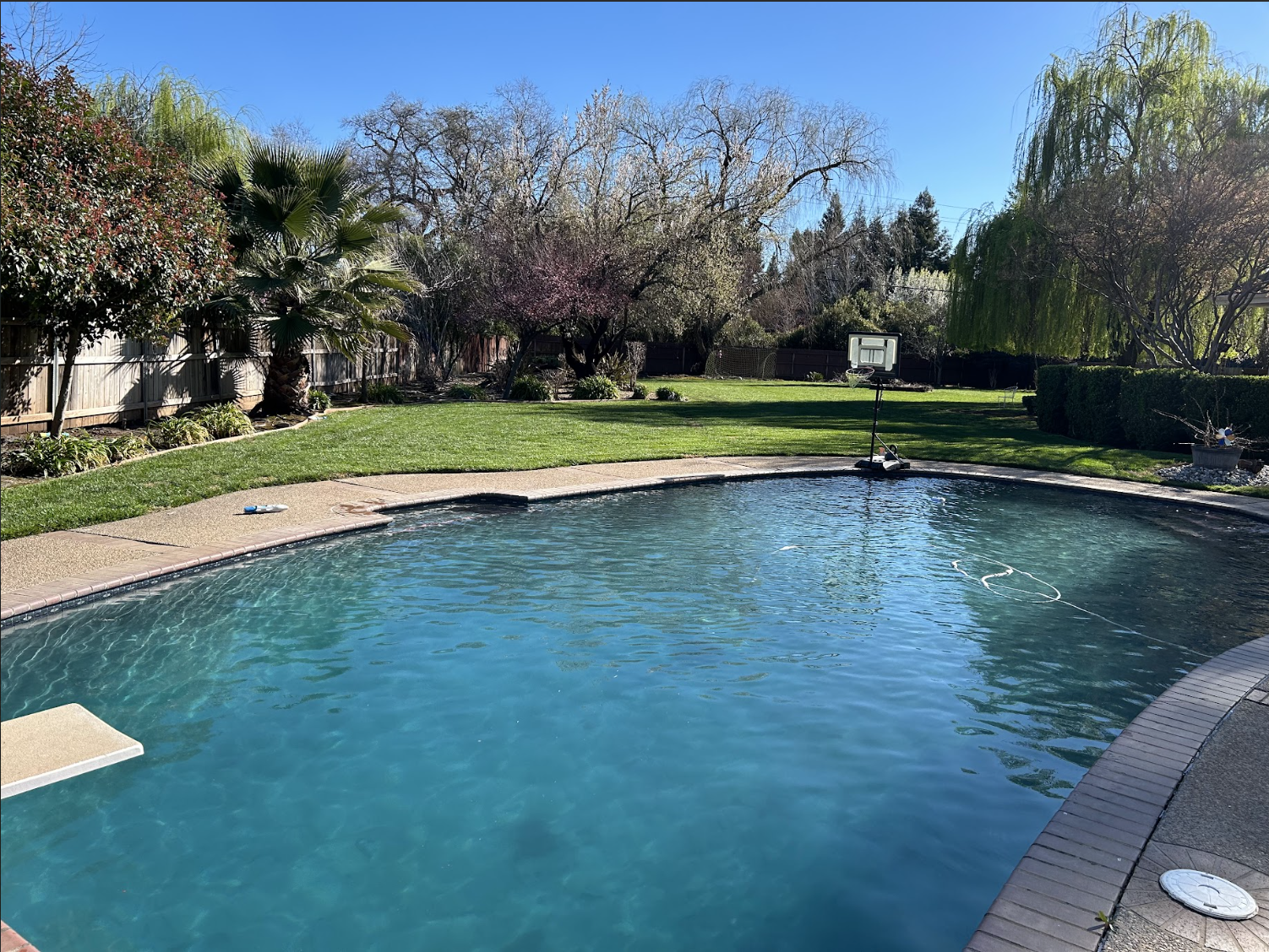 Backyard swimming pool with a basketball hoop, surrounded by green grass, trees, and shrubs under a clear blue sky.