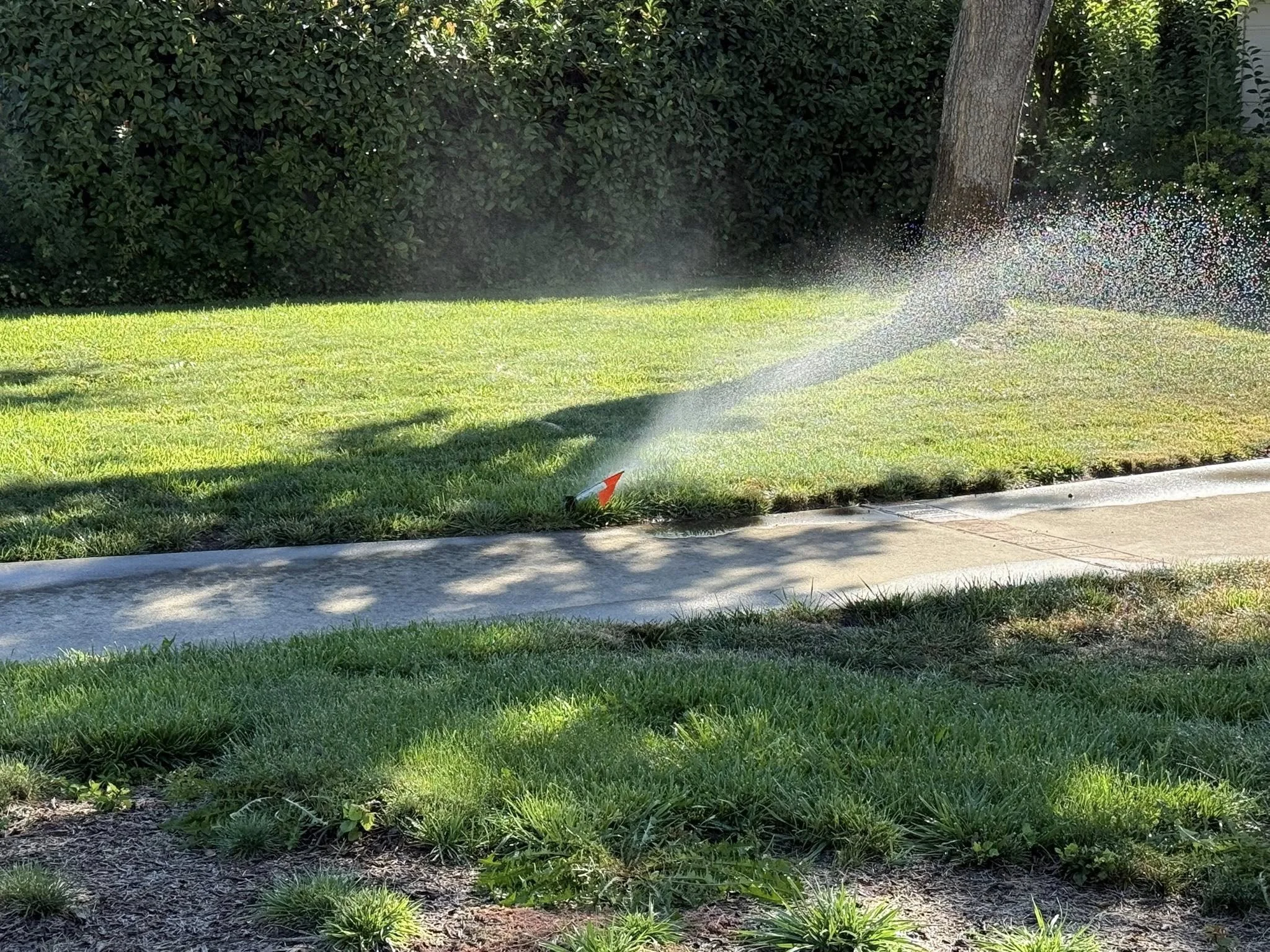 A landscaped yard with green grass, a sidewalk, and a spray of water from an irrigation sprinkler. In the background, there are bushes, trees, and shrubs.