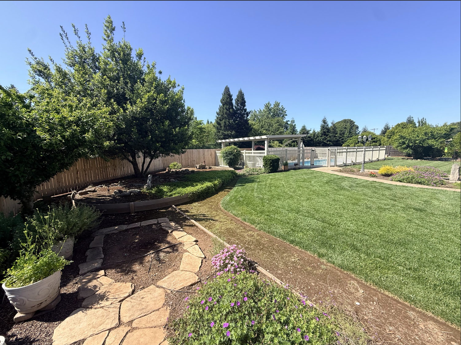 A backyard with a green lawn, flowering plants, a large tree, a wooden fence, and a shaded pool area with a white fence and pergola under a clear blue sky.