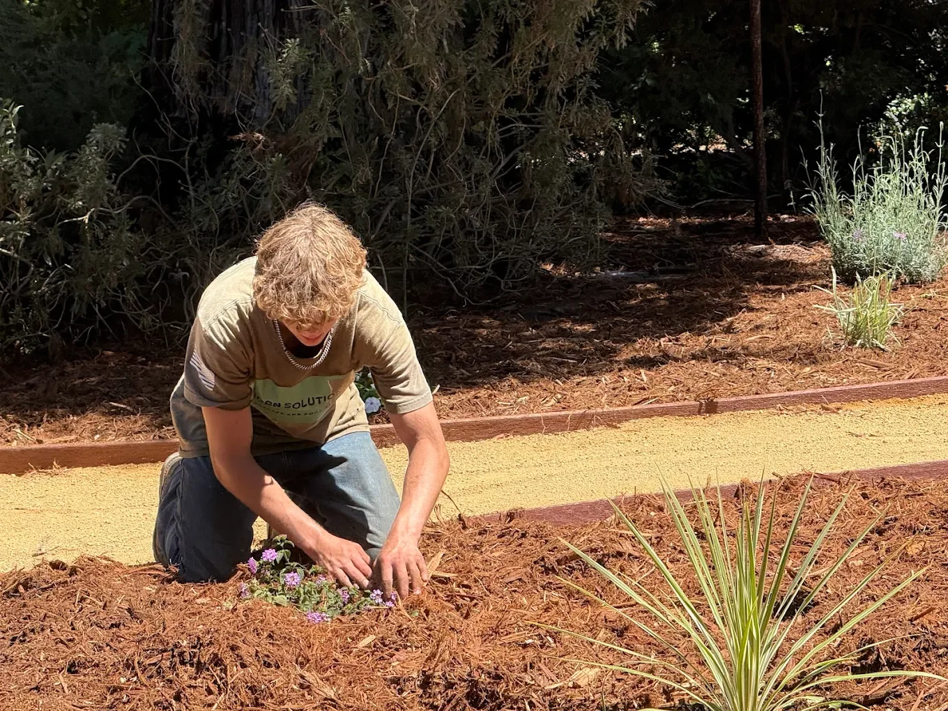 A person with curly hair kneels on the ground, planting or tending to small purple flowers in a garden bed with reddish soil, surrounded by plants and trees.