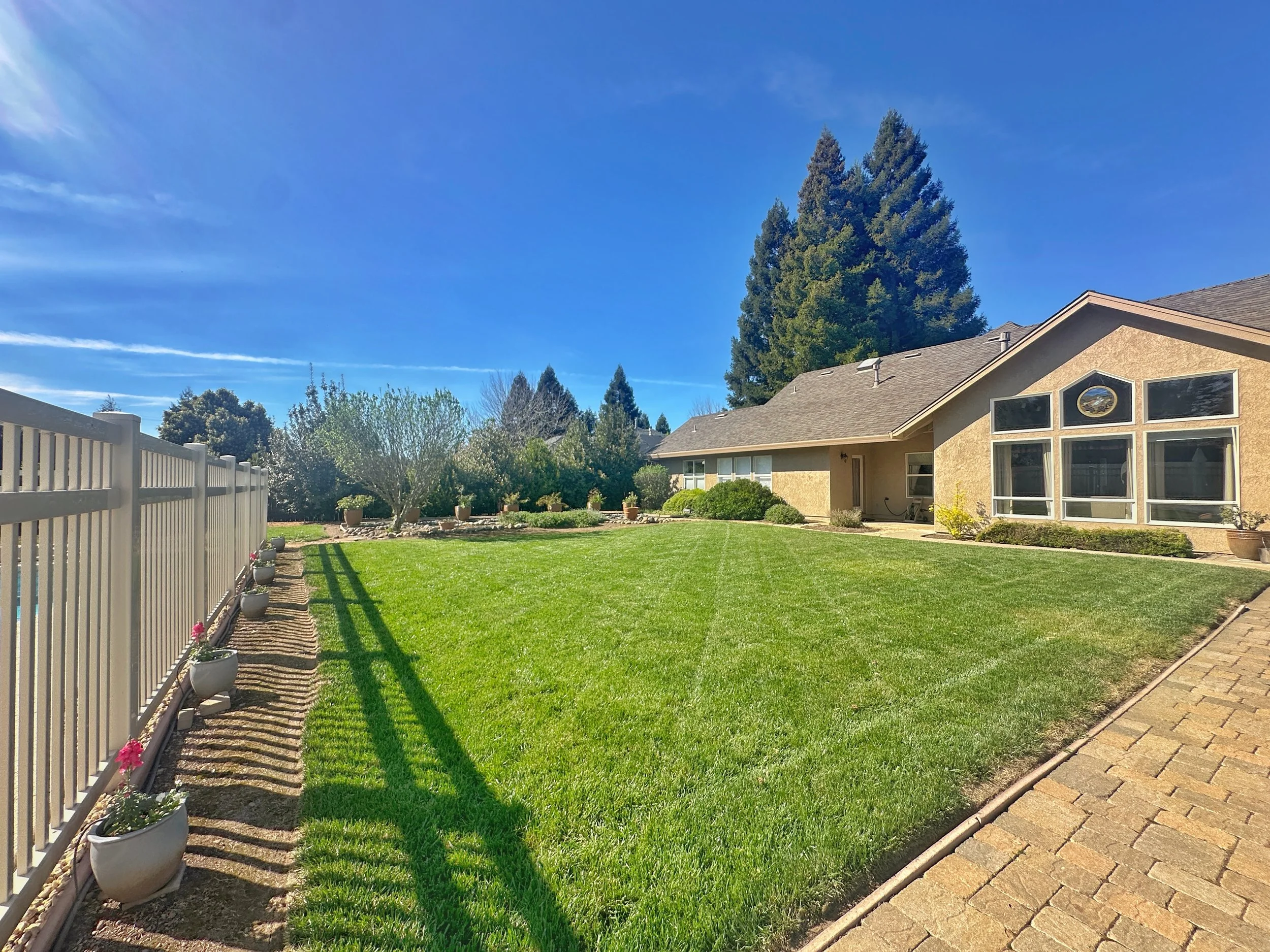 A backyard with a well-maintained green lawn, potted plants, trees, a white fence, and a house with large windows under a clear blue sky.