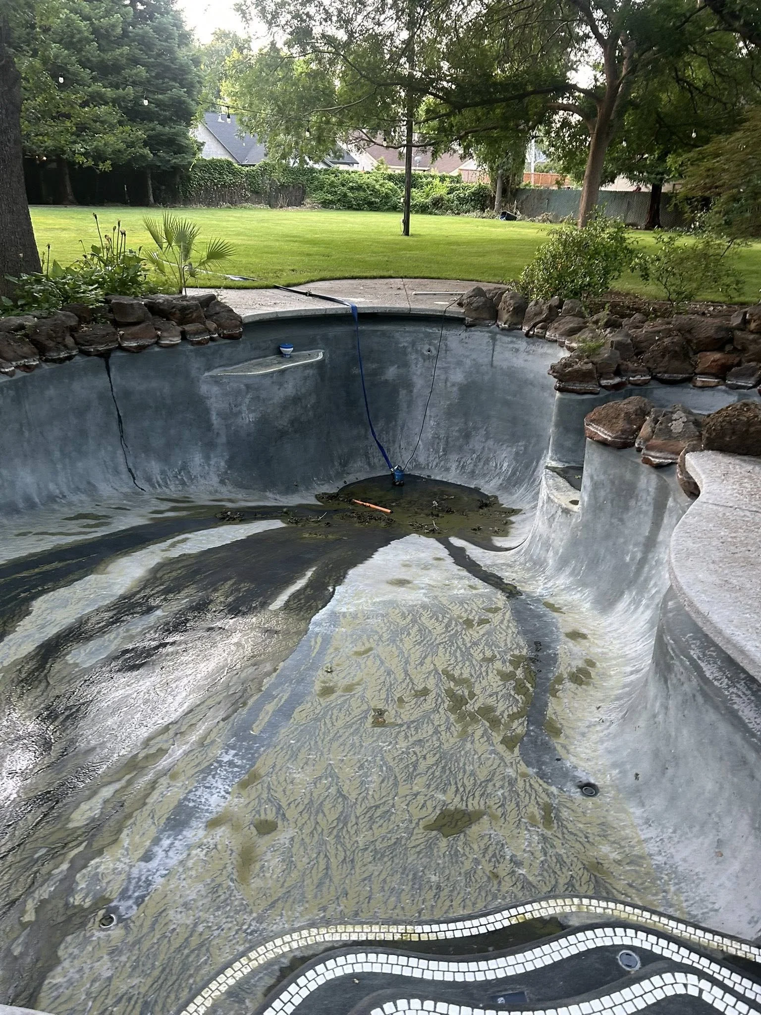 A backyard with a lawn, trees, and a hot tub with a stone border, water, and plants around it.