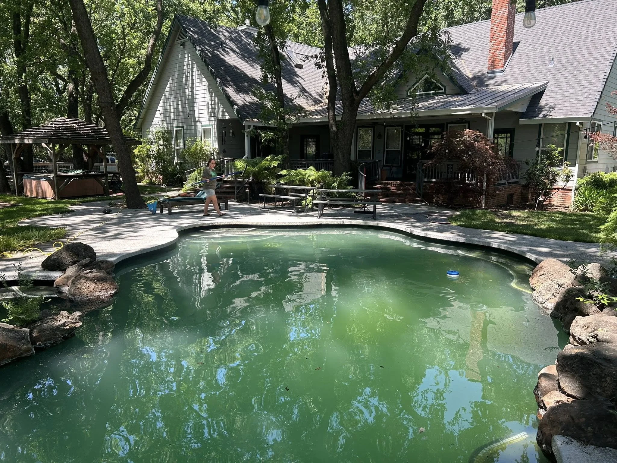 A backyard with a swimming pool surrounded by rocks and plants, a woman standing near the pool, a house with a porch and multiple trees providing shade.