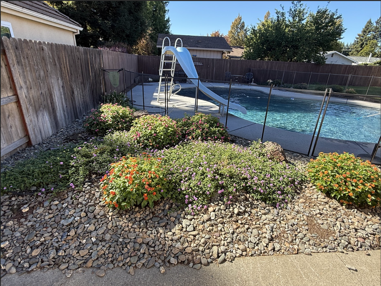 Backyard with a small above-ground swimming pool, a slide, and a garden with colorful flowers and green plants, surrounded by a wooden fence.