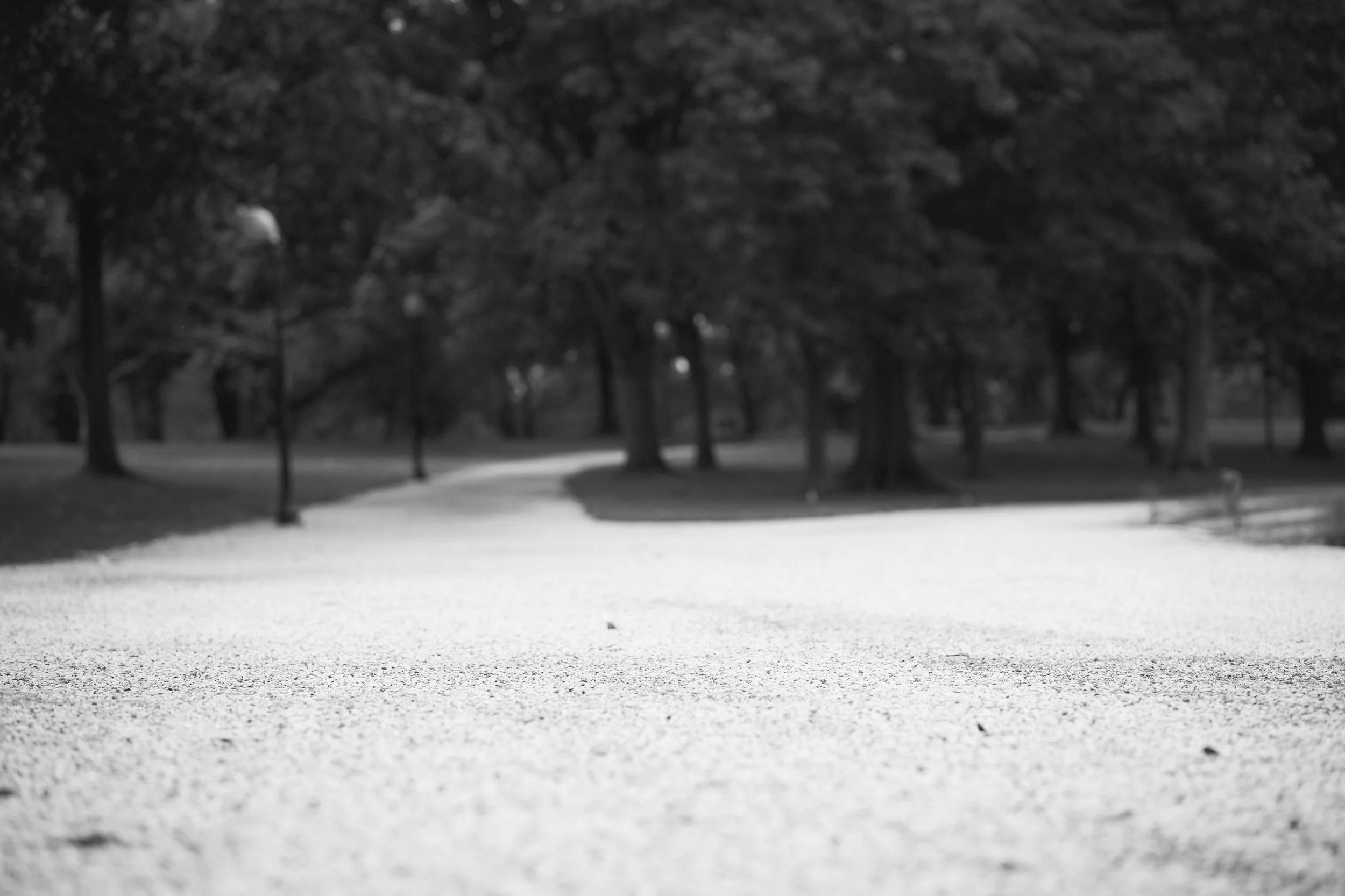 10-ABC78B64-64AD-446B-BE5E-021B0E776C96.jpg
