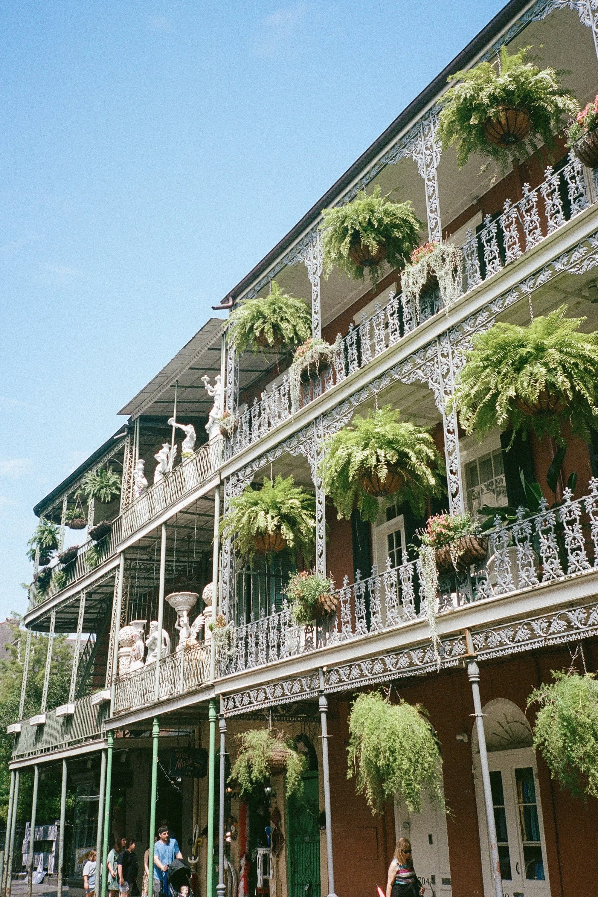012_filmscans-165.jpg