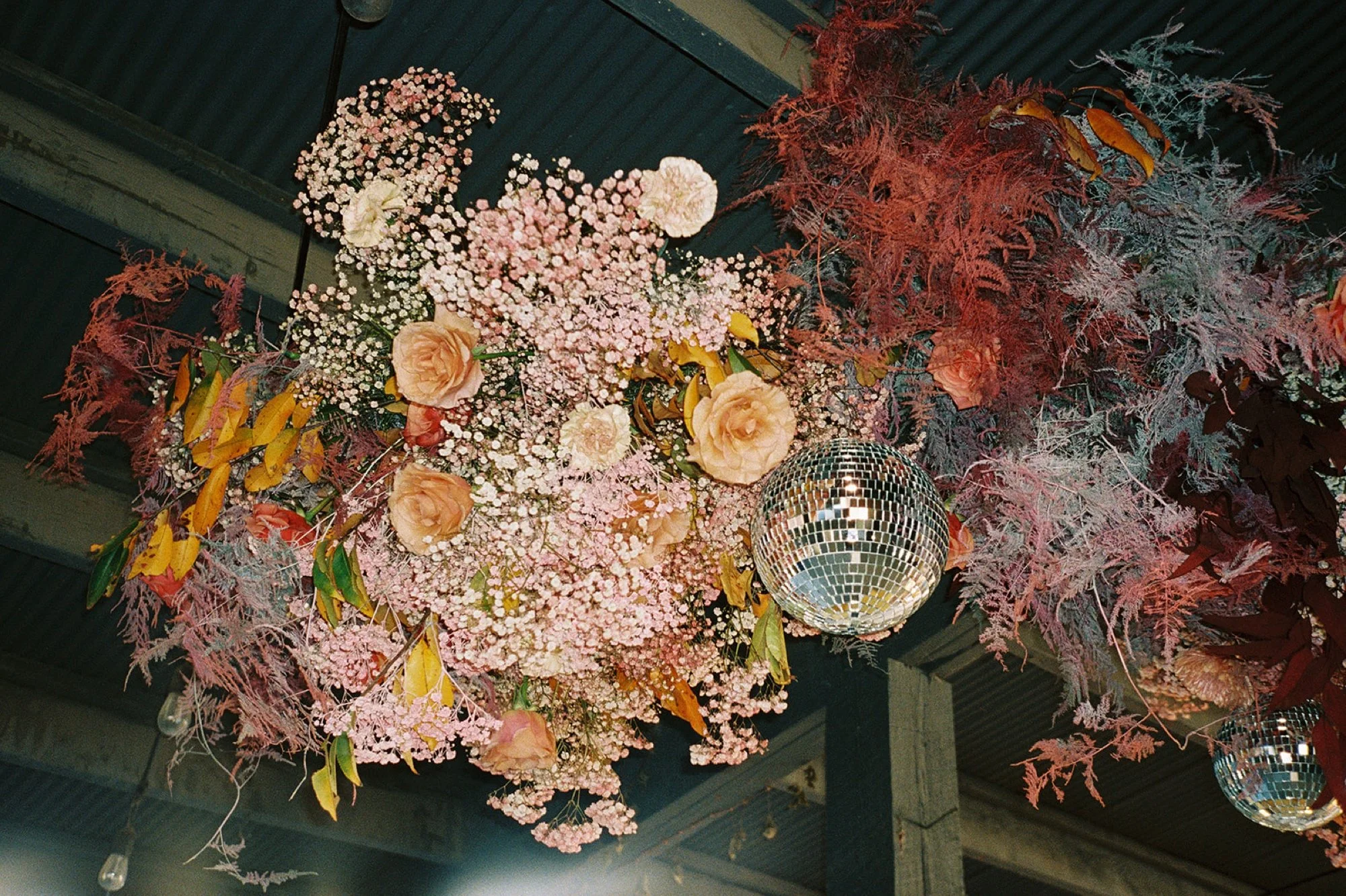 60_film-24.jpg