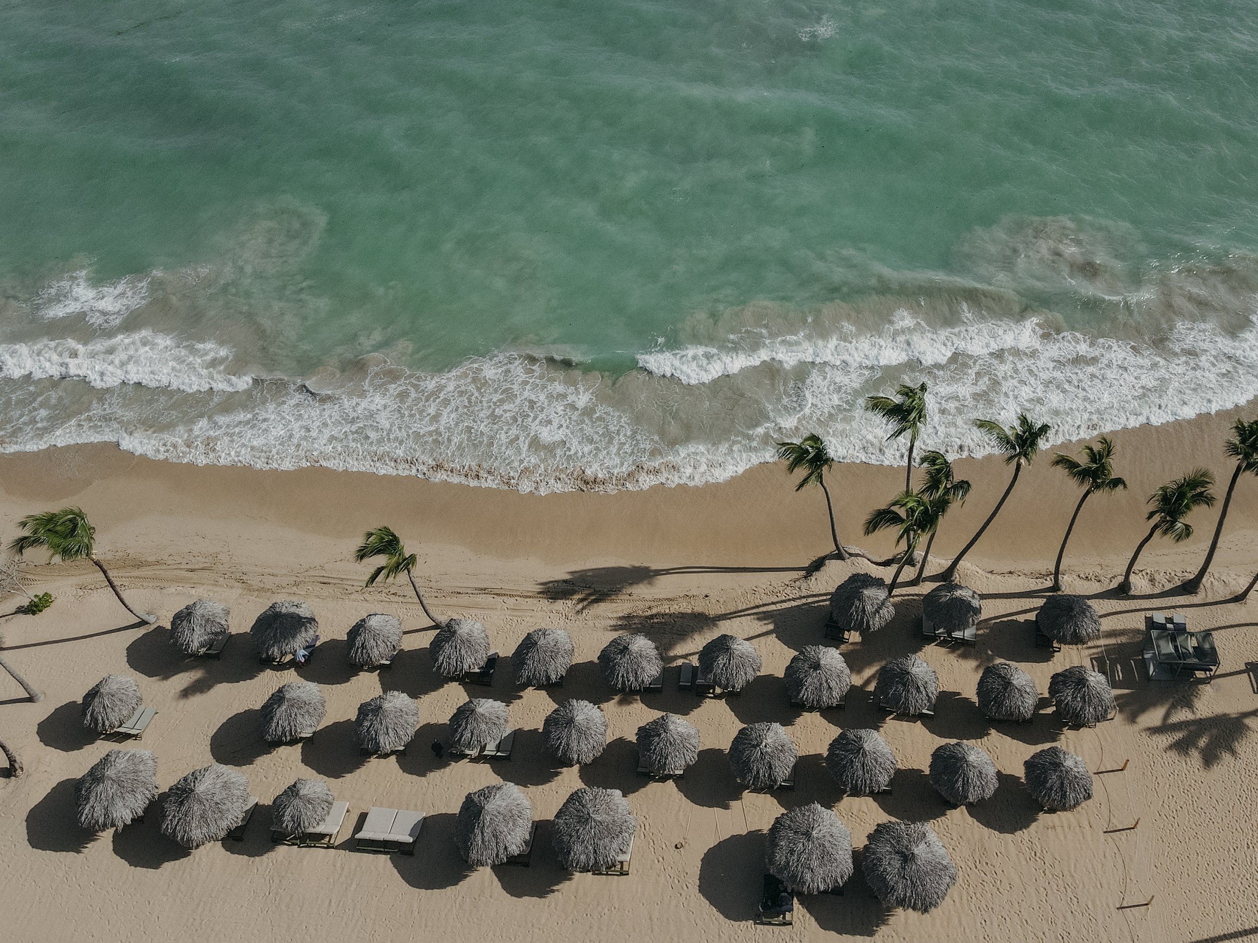 Aerial view of a beach with palm trees, lounge chairs, straw umbrellas, sandy shore, and ocean waves.