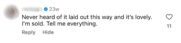 Screenshot of a social media comment expressing delight about an unusual laying out of something, with the person claiming they are sold and asking for more details.
