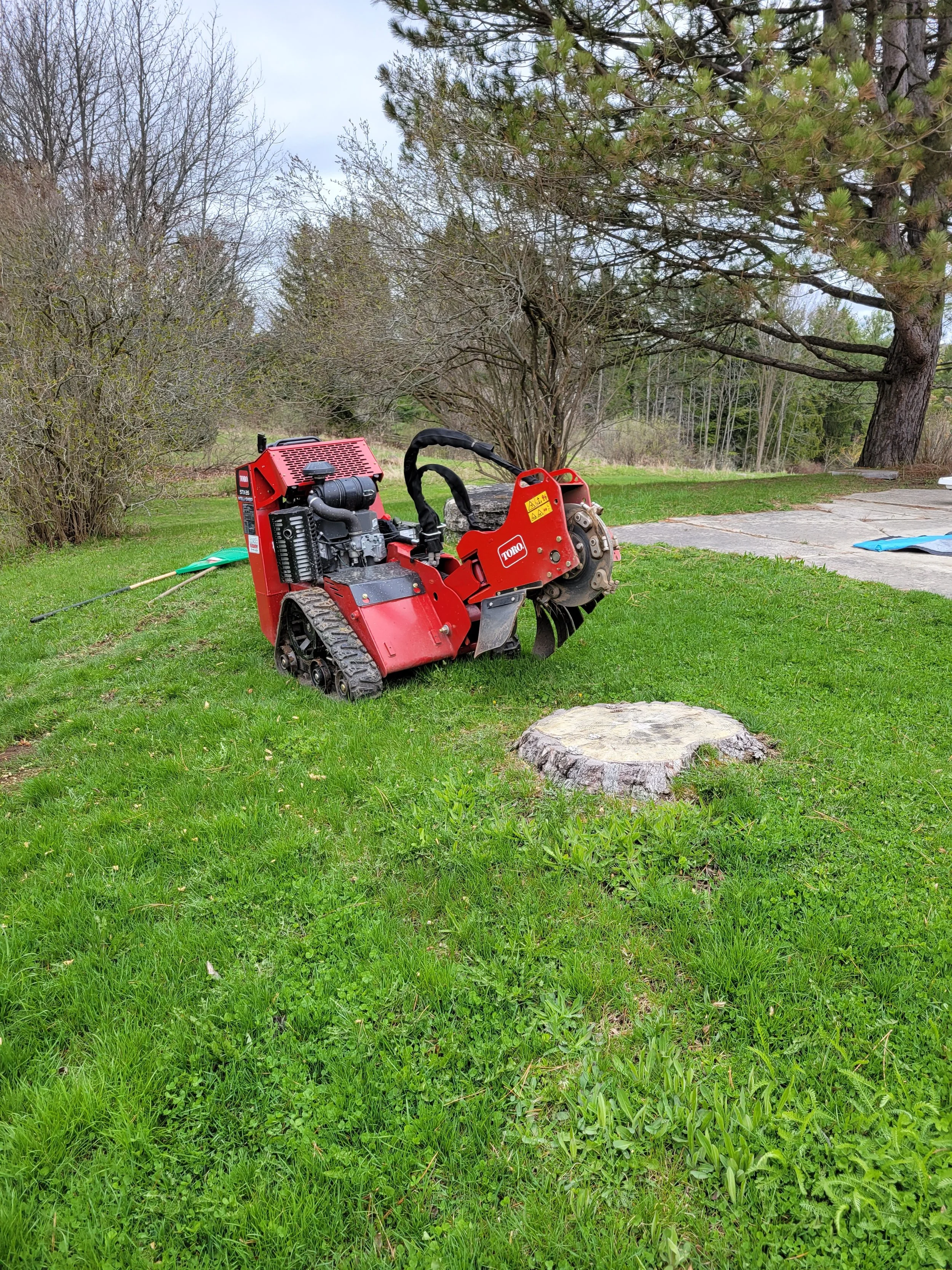 Stump Grinding