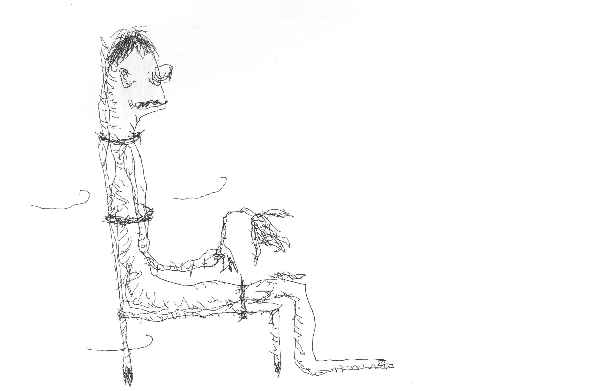 Stml-adult26020610340.jpg