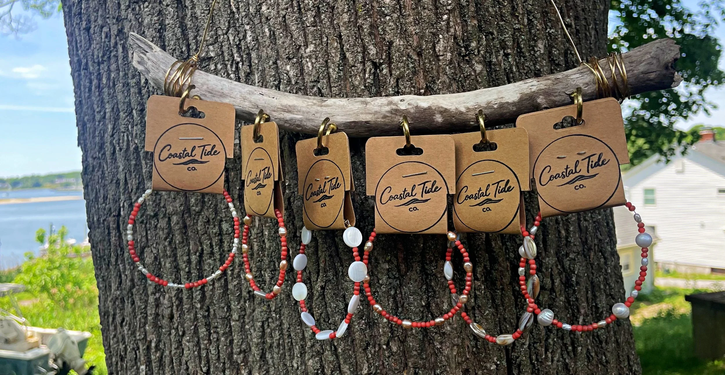Colorful beaded necklaces hanging on a branch attached to a tree with labels reading 'Coastal Tide Co.' in a seaside setting with houses and water in the background.
