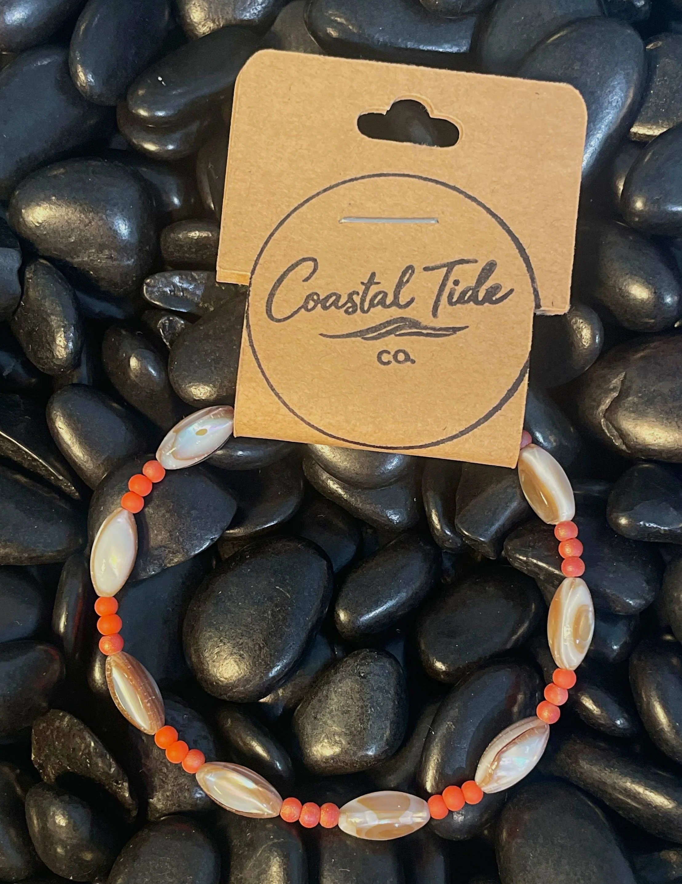 Coral Co Rice Shell.jpg