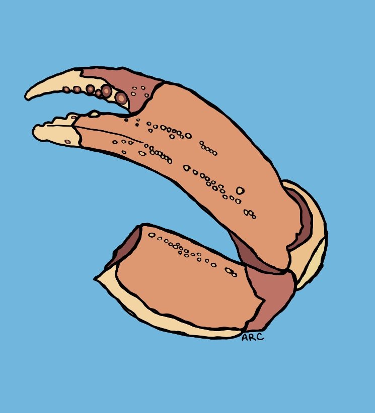A cartoon illustration of a crab claw with a light blue background.