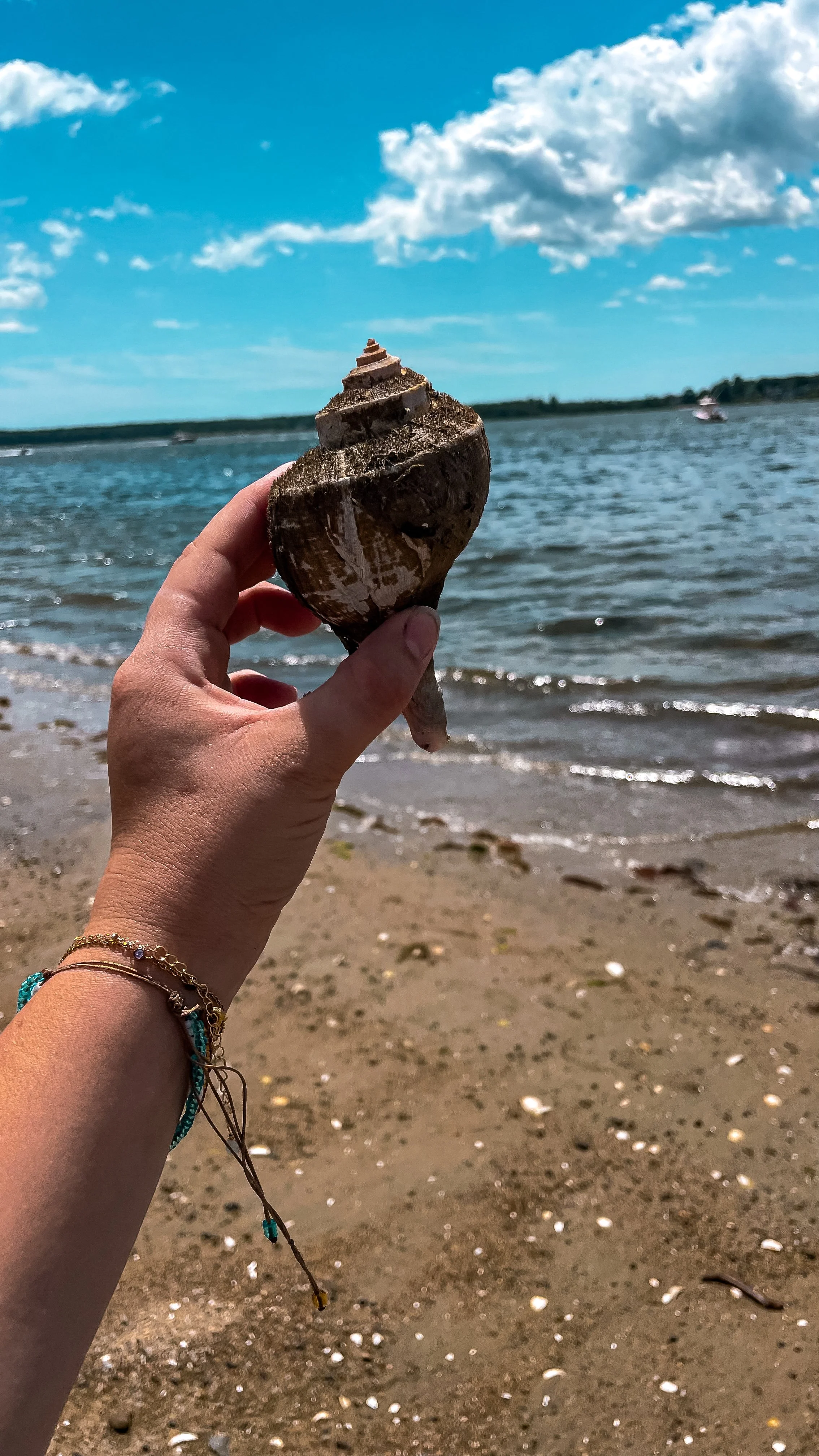 A hand holding a large seashell by the beach, with water and boats in the background, under a partly cloudy sky.