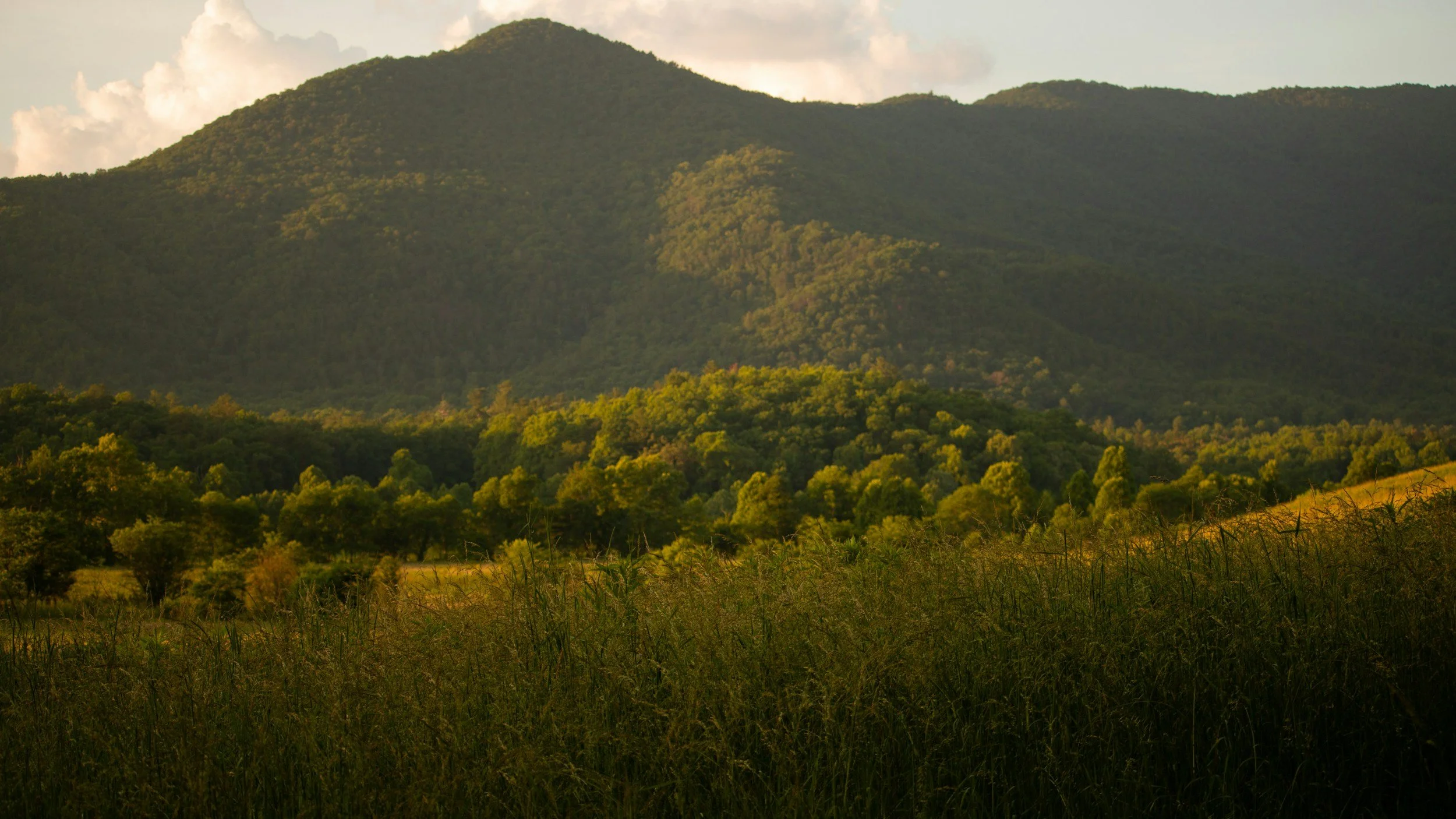 A landscape of green mountains with a mix of trees and grass, under a cloudy sky in the distance.