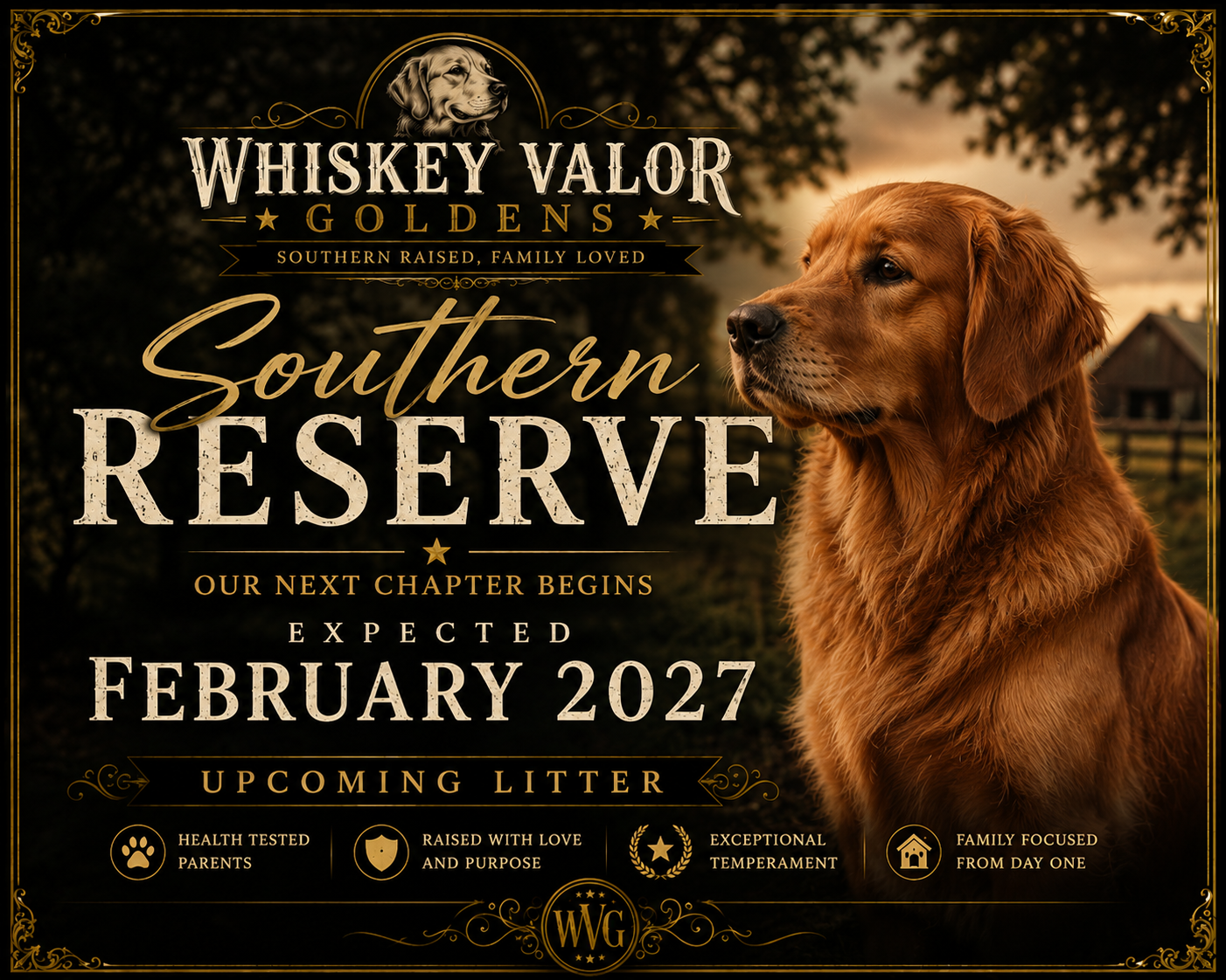The Southern Reserve