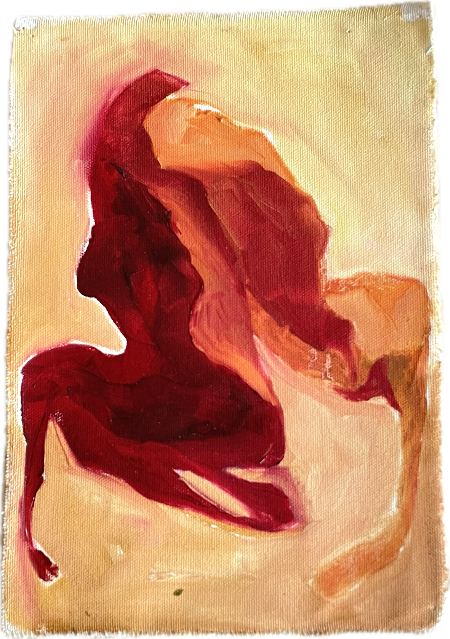 IMG_5225.PNG
