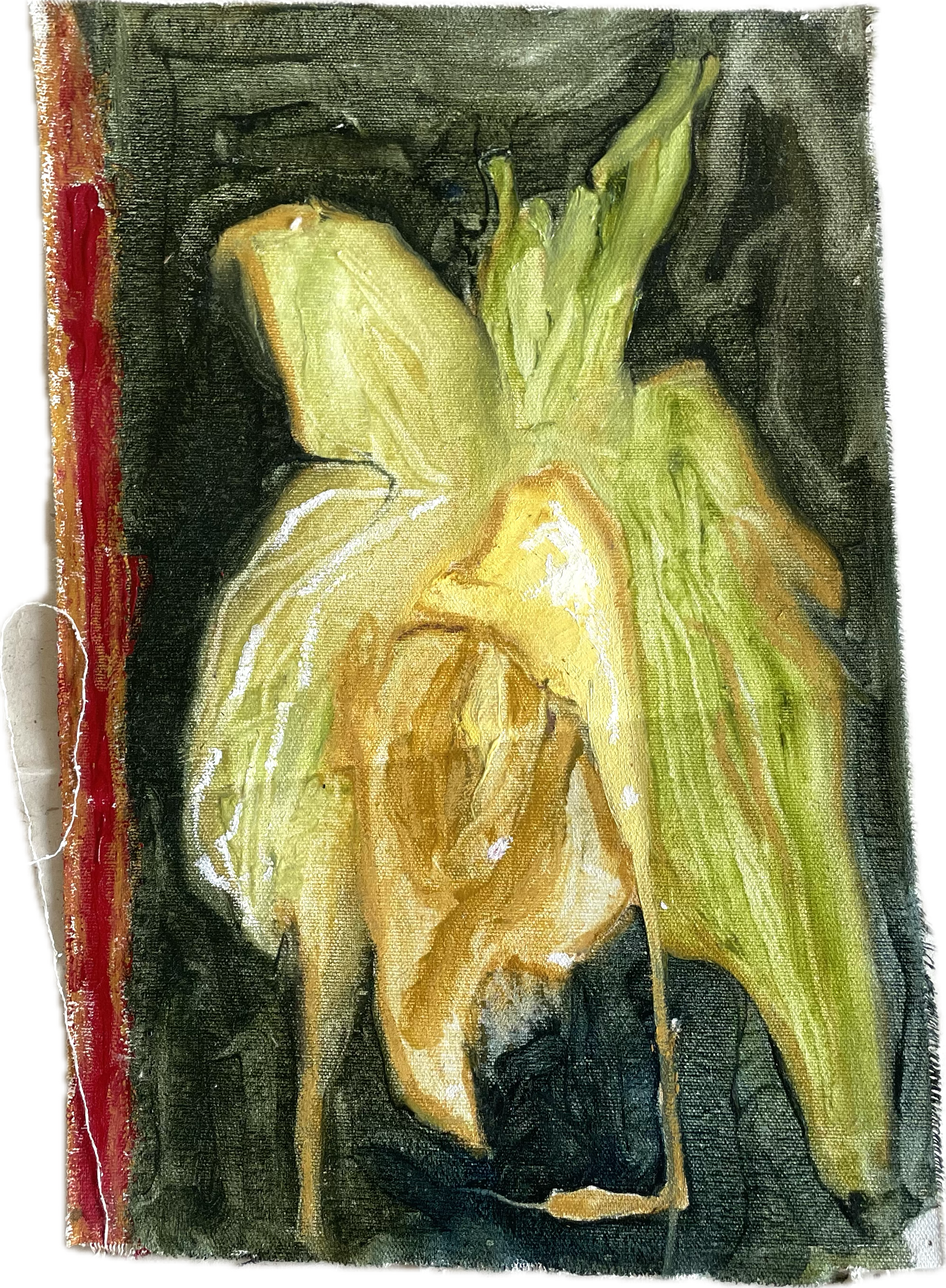 IMG_5226.PNG