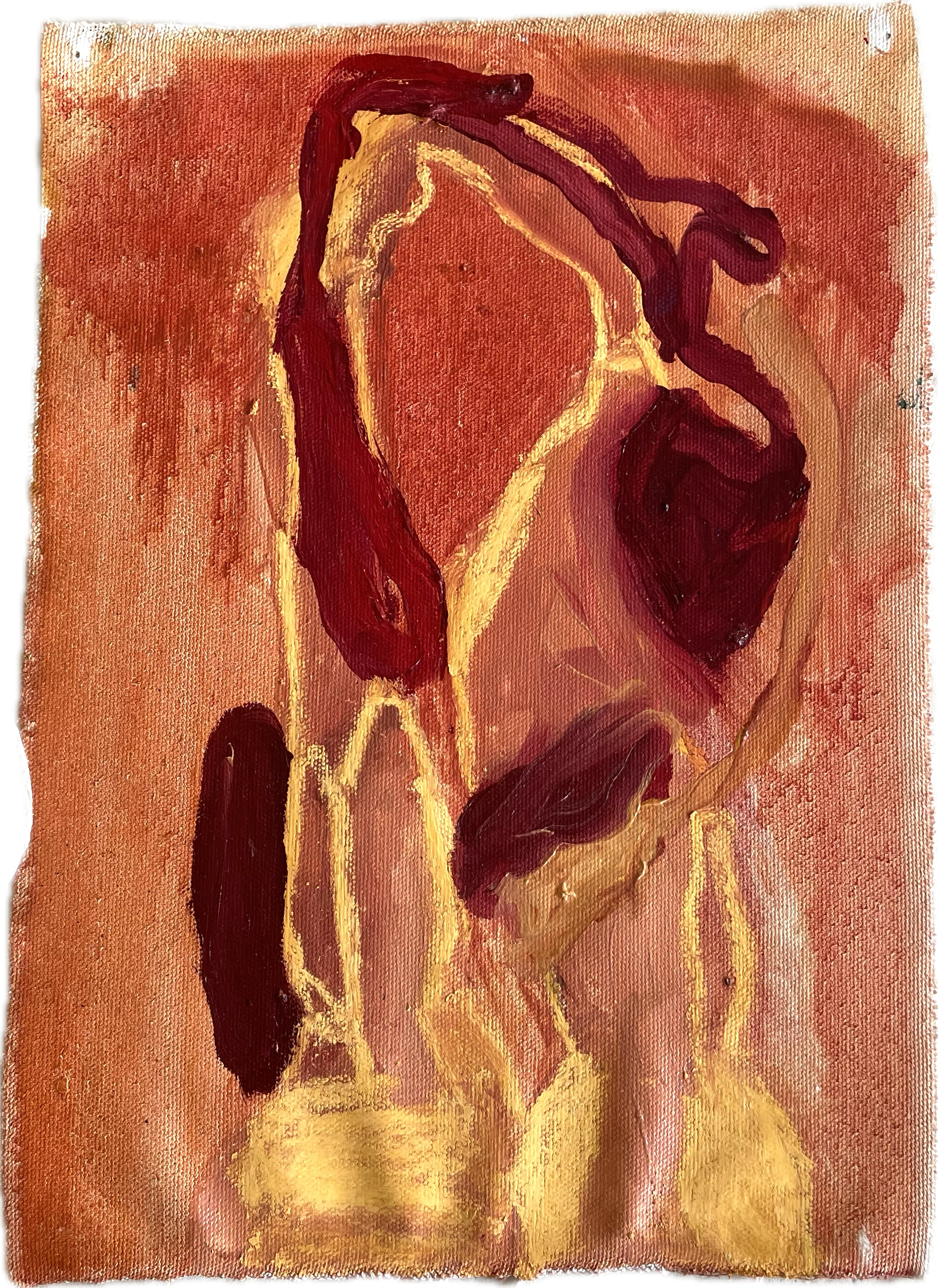 IMG_5224.PNG