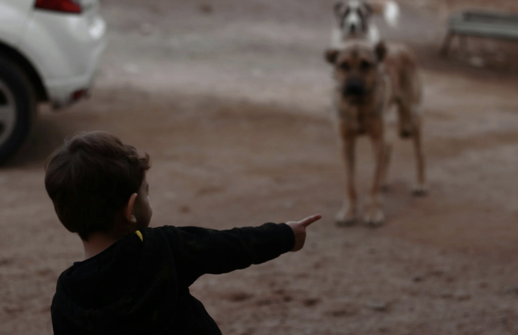 Mon enfant a peur des chiens : comment l'aider sans empirer la situation ?