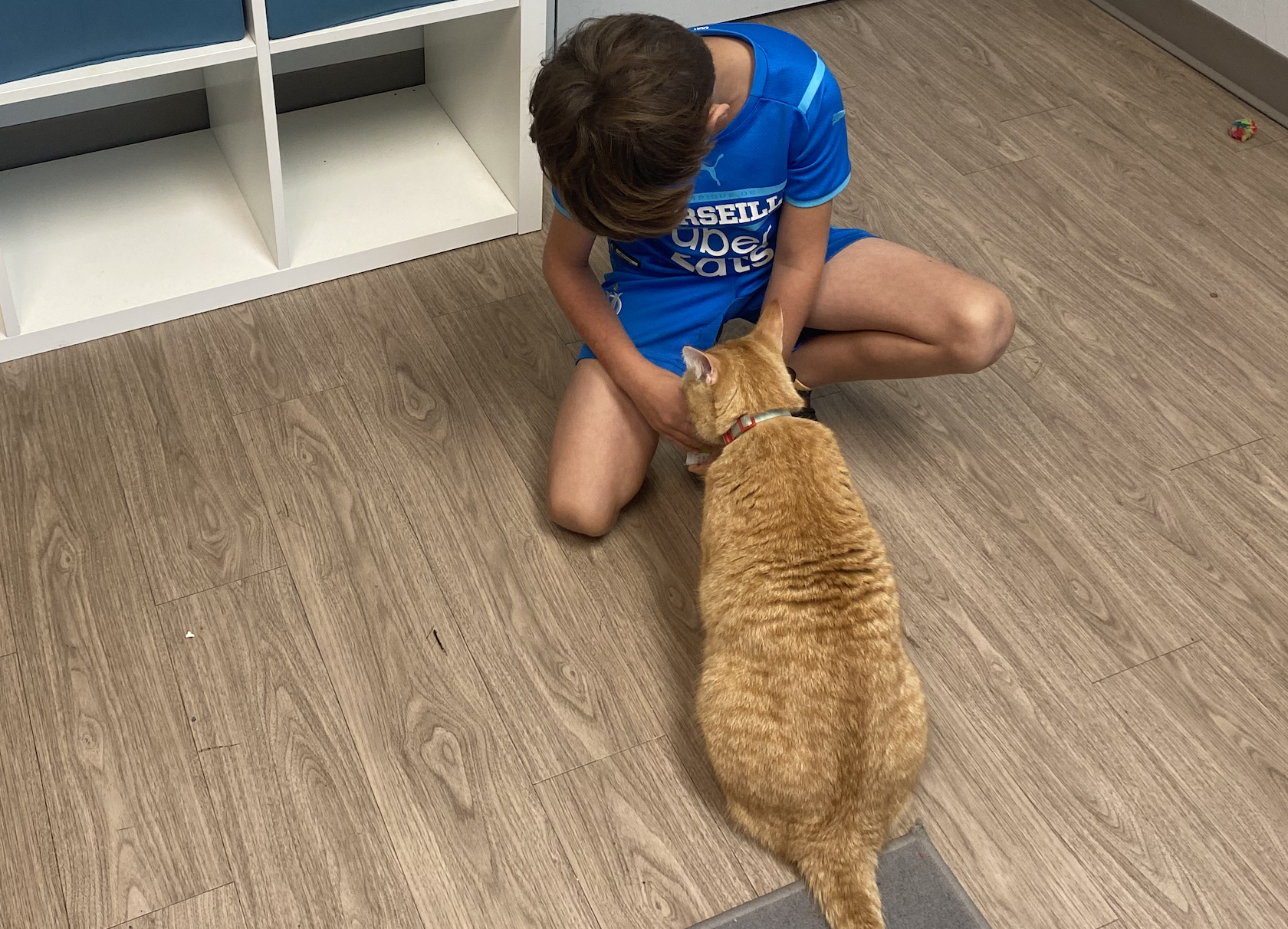 Enfant accompagné par Wilfred lors d'une rencontre de zoothérapie