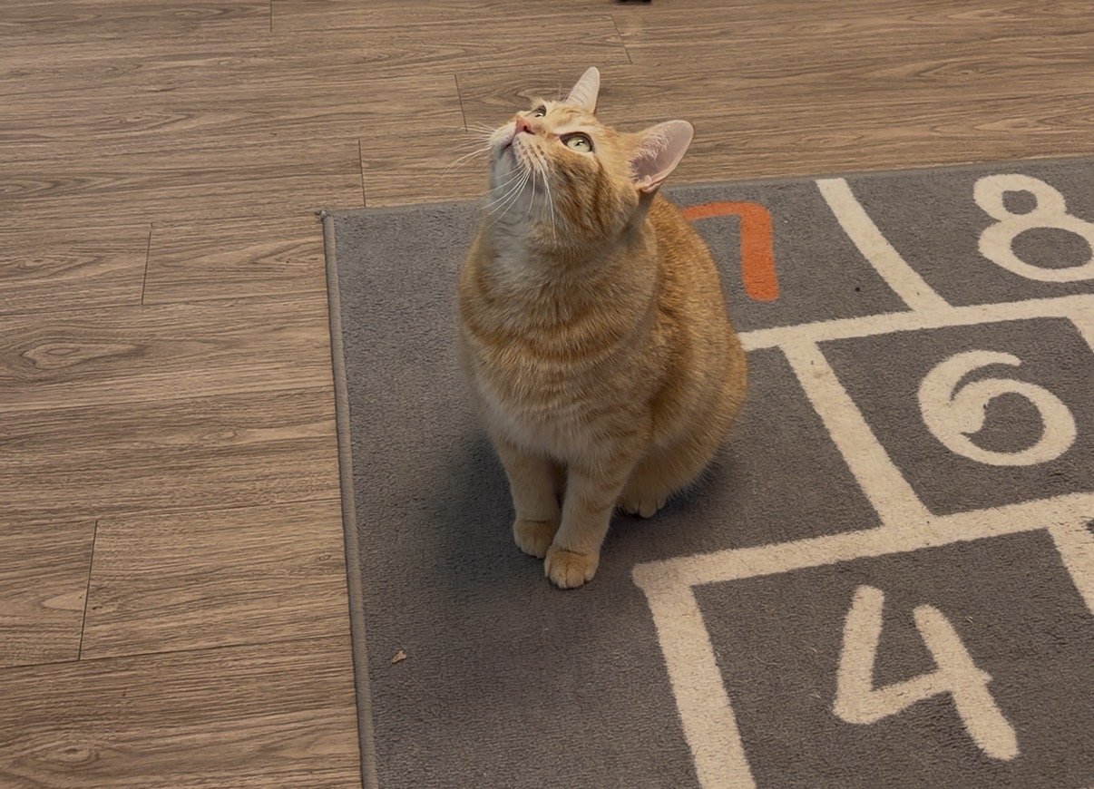 Wilfred en intervention pour une phobie