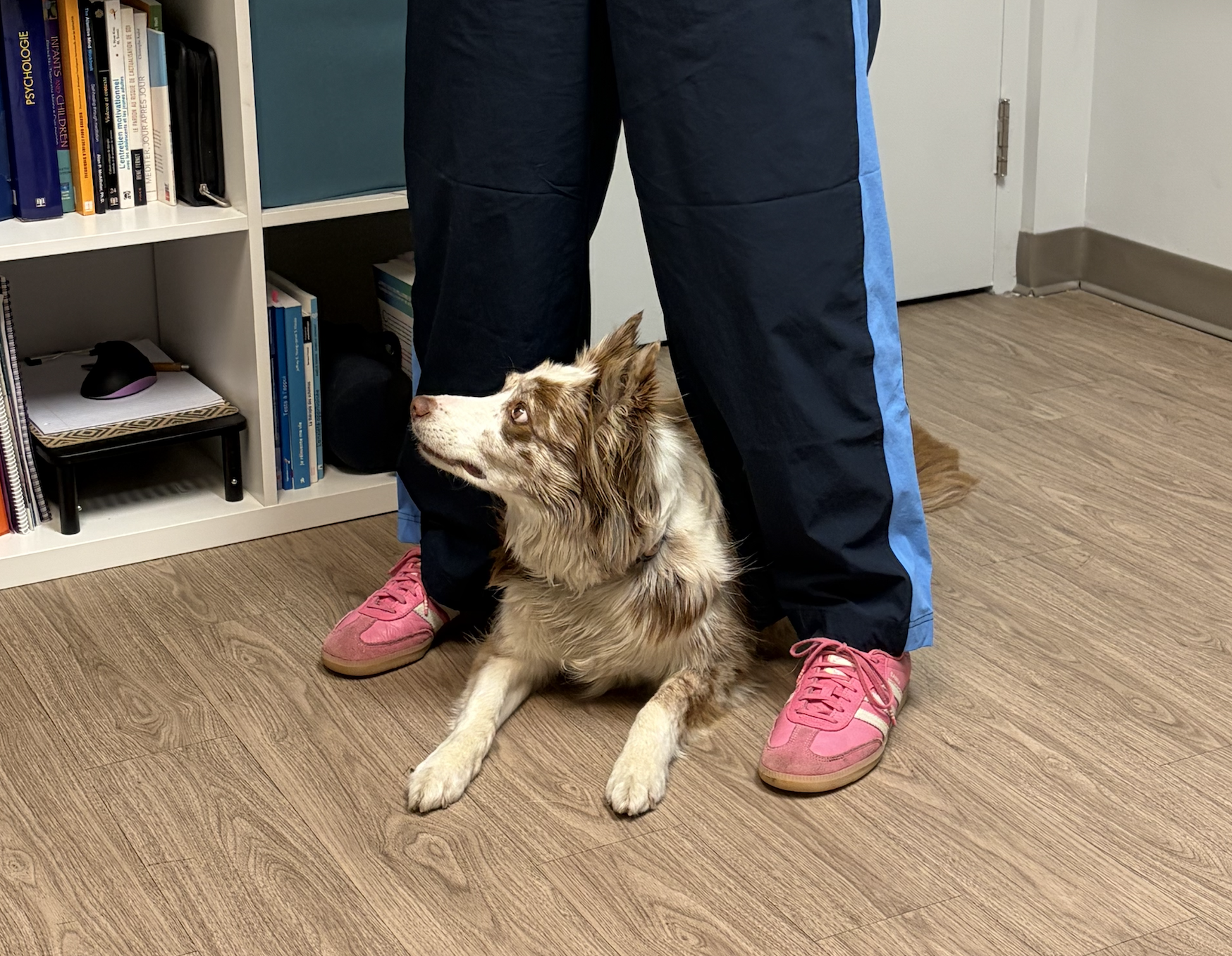 Boo en intervention avec une cliente