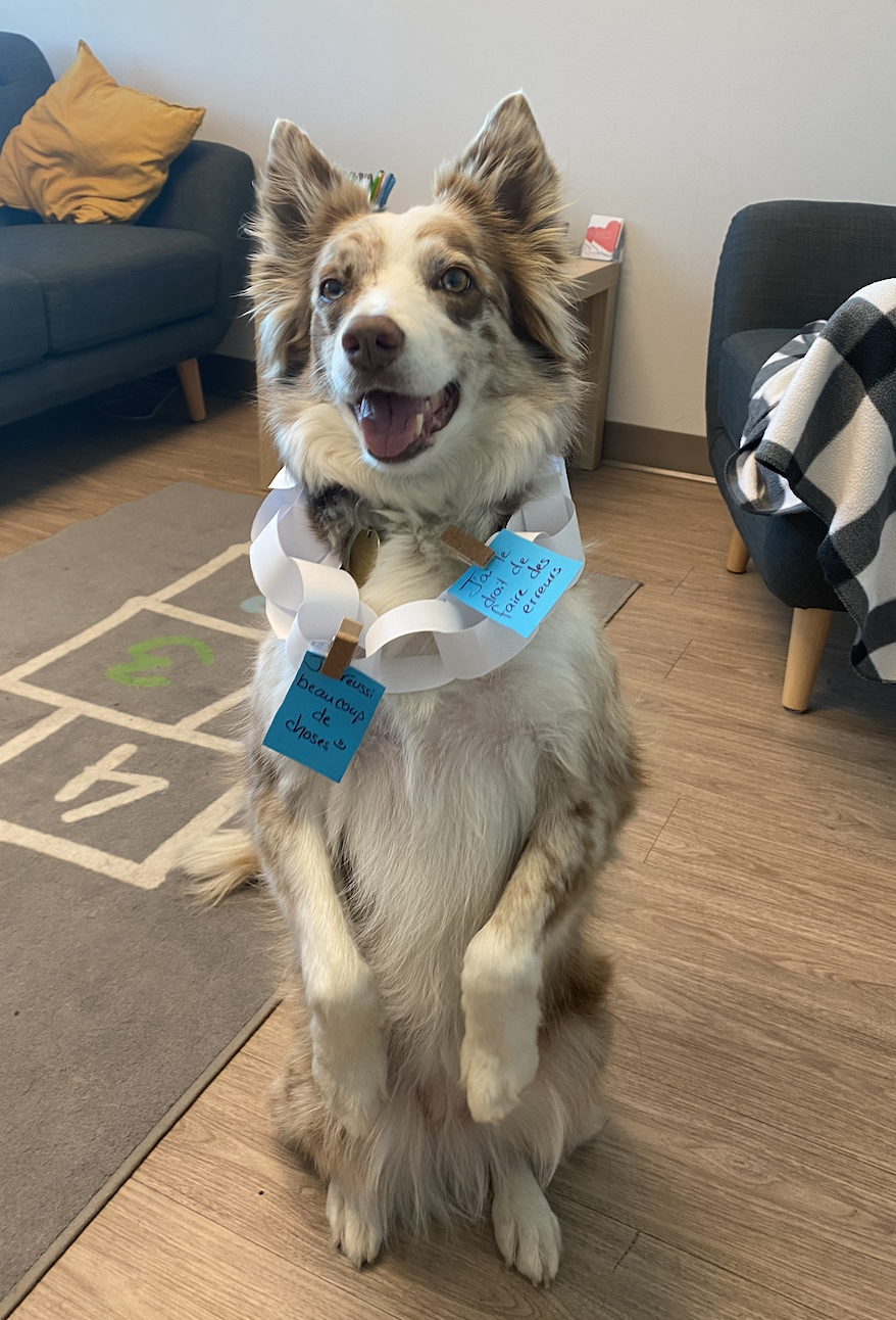 Boo pendant une rencontre de zoothérapie