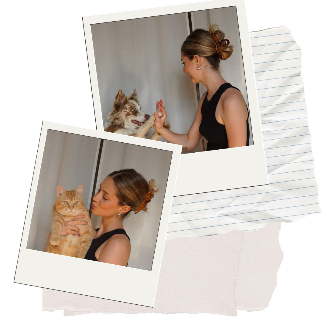 Catherine, intervenante psychosociale, avec son chien Boo et son chat Wilfred