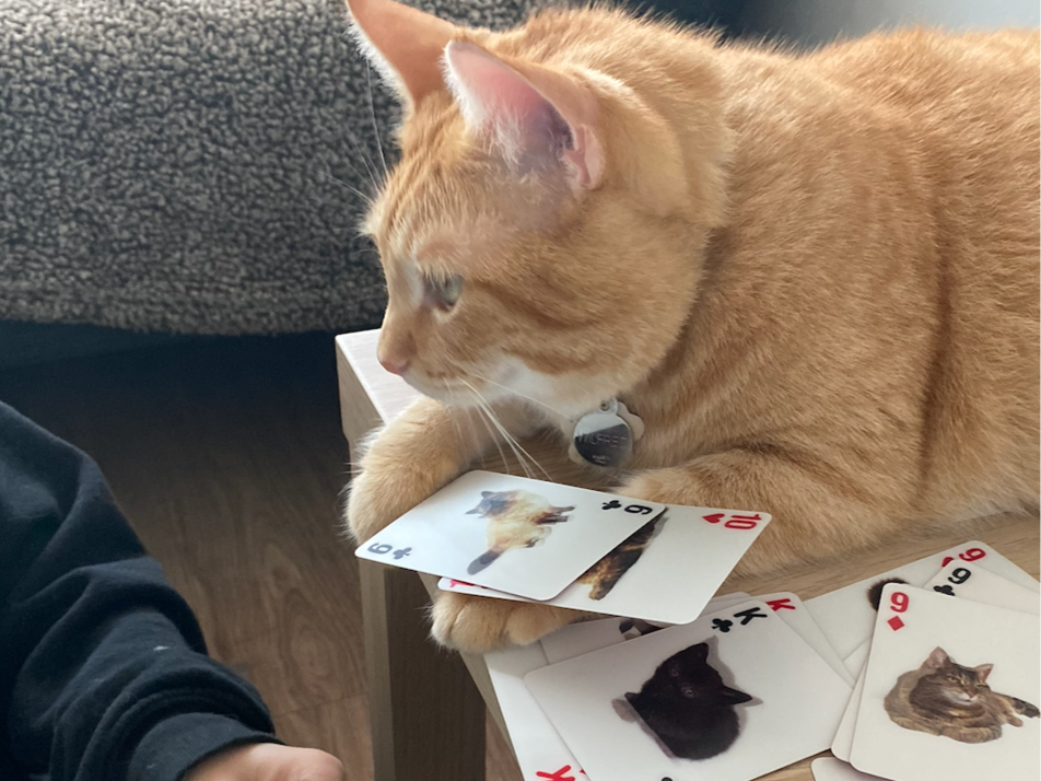 Wilfred lors d'une activité de zoothérapie