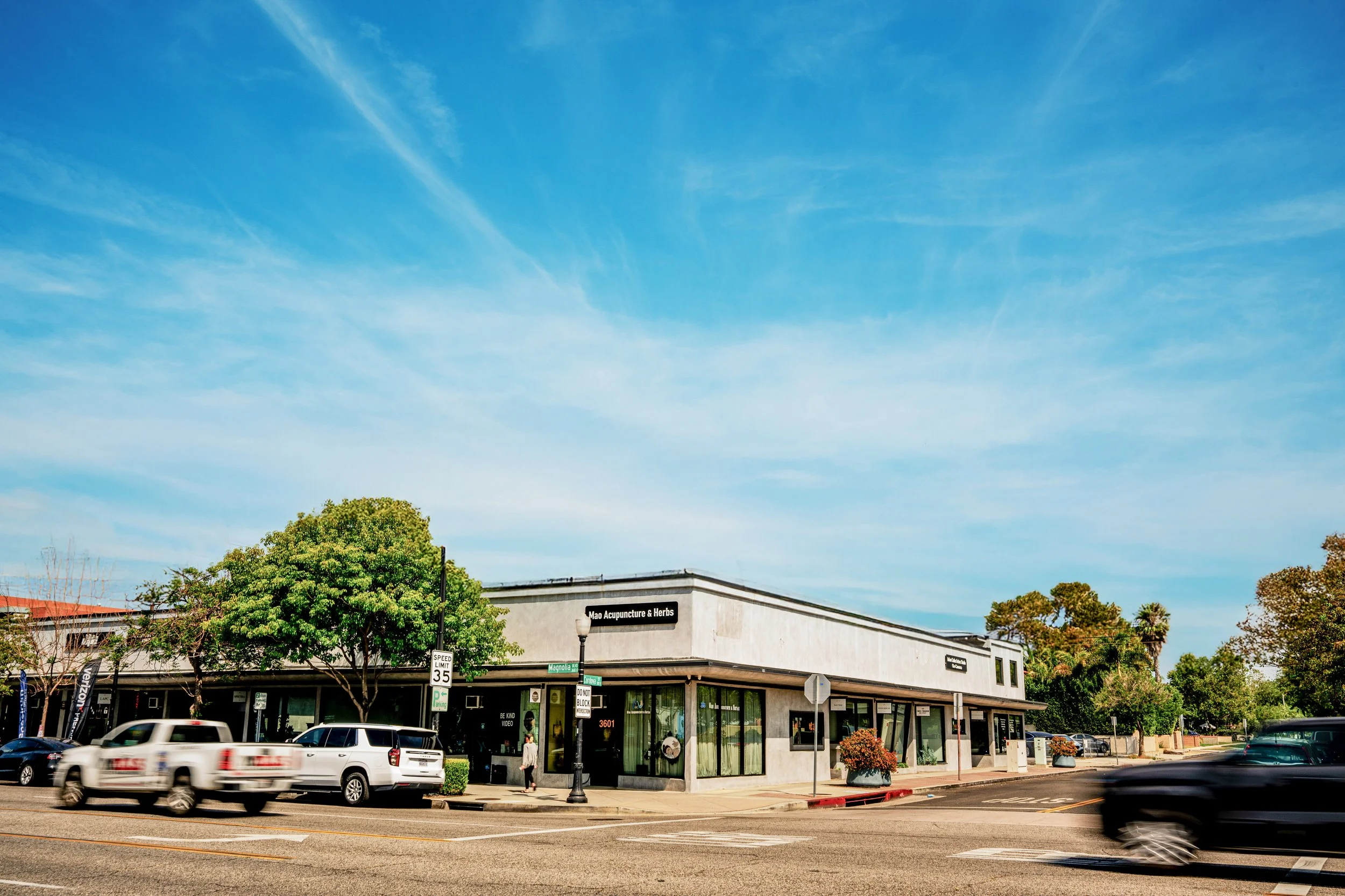 Village Magnolia Gallery 14.jpg
