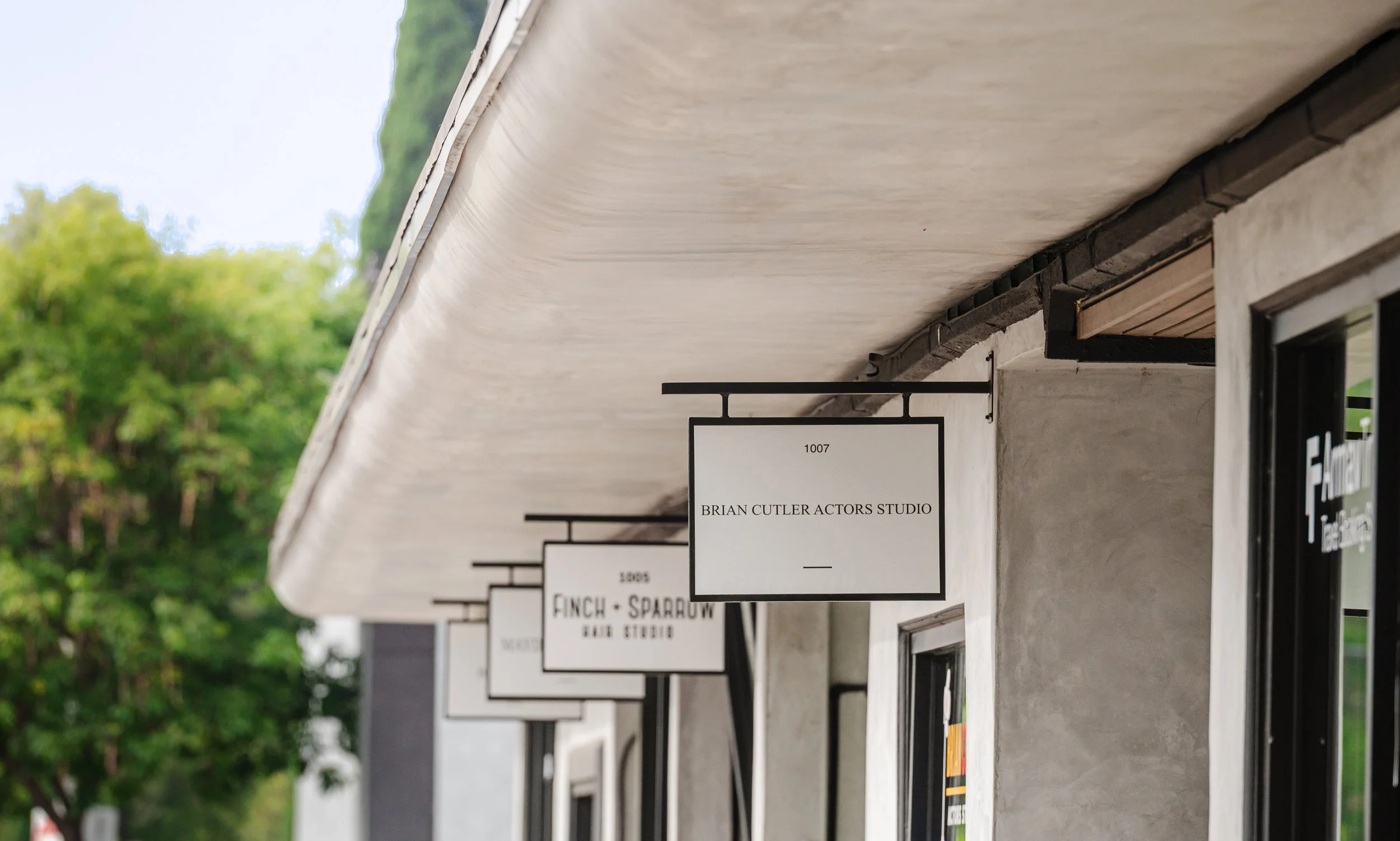 Village Magnolia Gallery 1.jpg