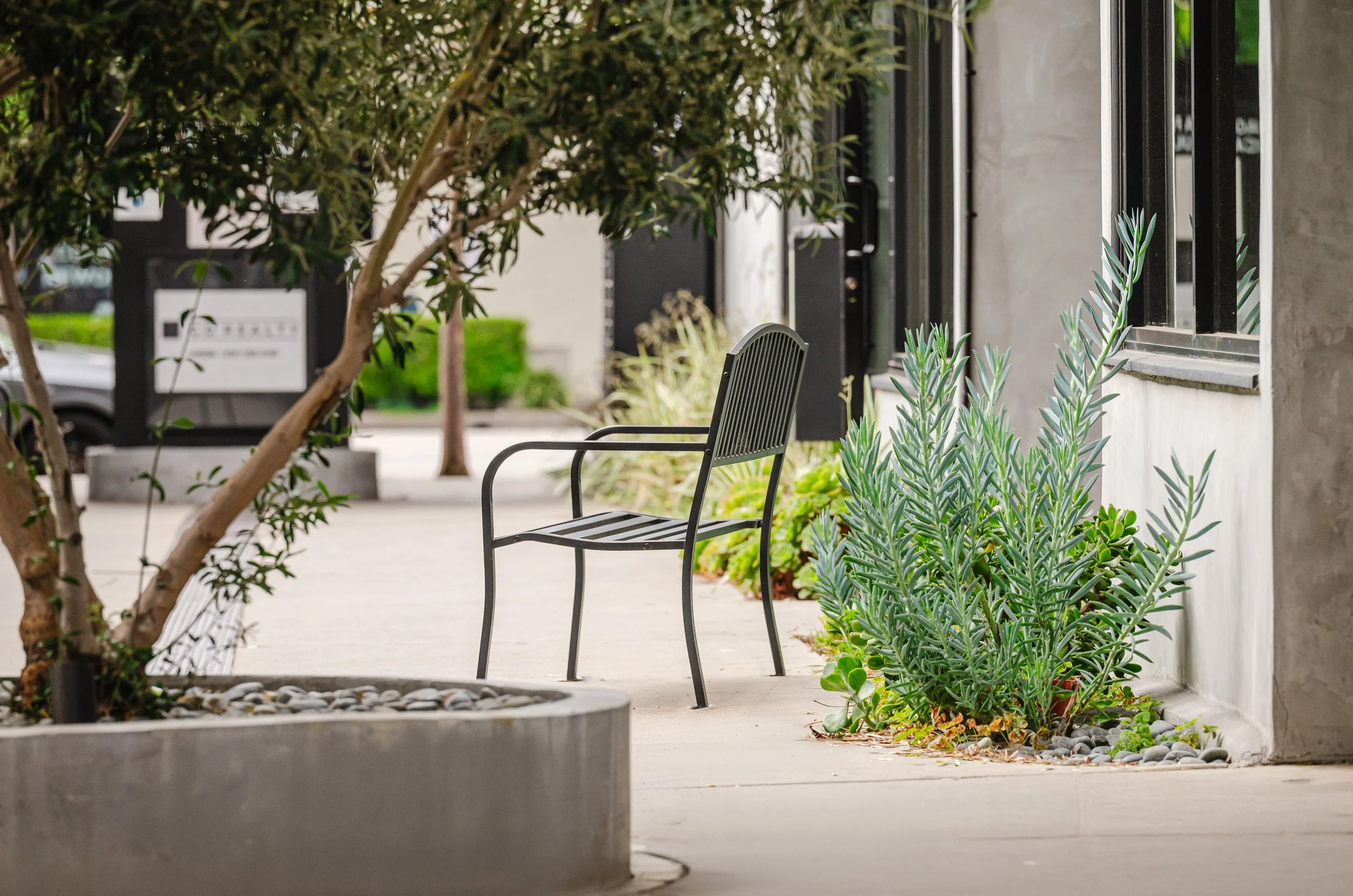 Village Magnolia Gallery 3.jpg
