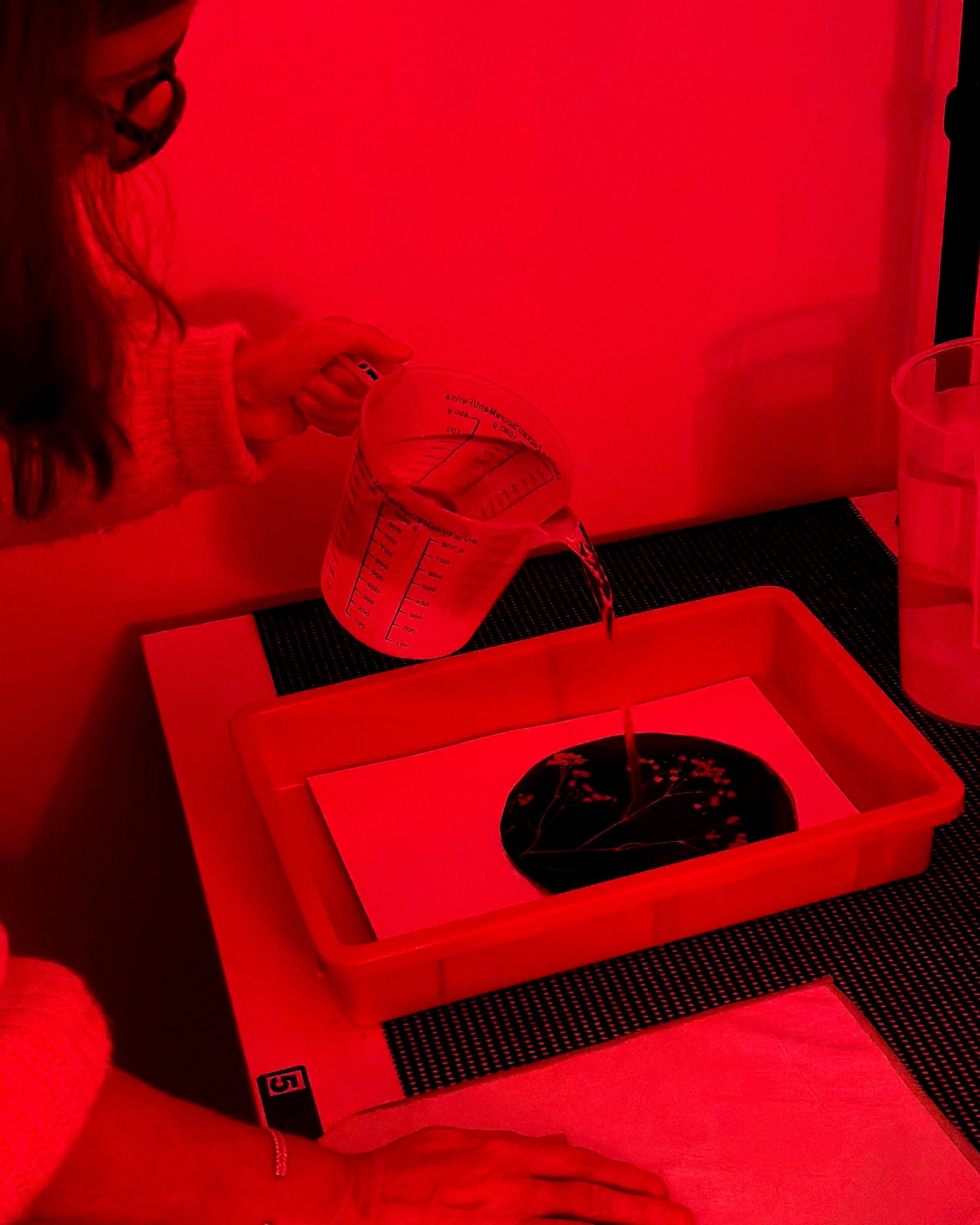 DARKROOM-cyanotype-print-indigo-pressrooom.jpg