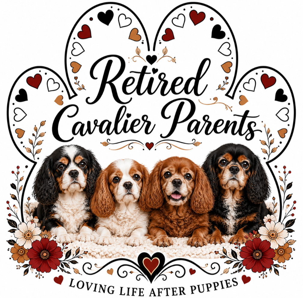 Four Cavalier puppies sitting on a blanket surrounded by floral and heart designs with the text 'Retired Cavalier Parents' and 'Loving Life After Puppies'.