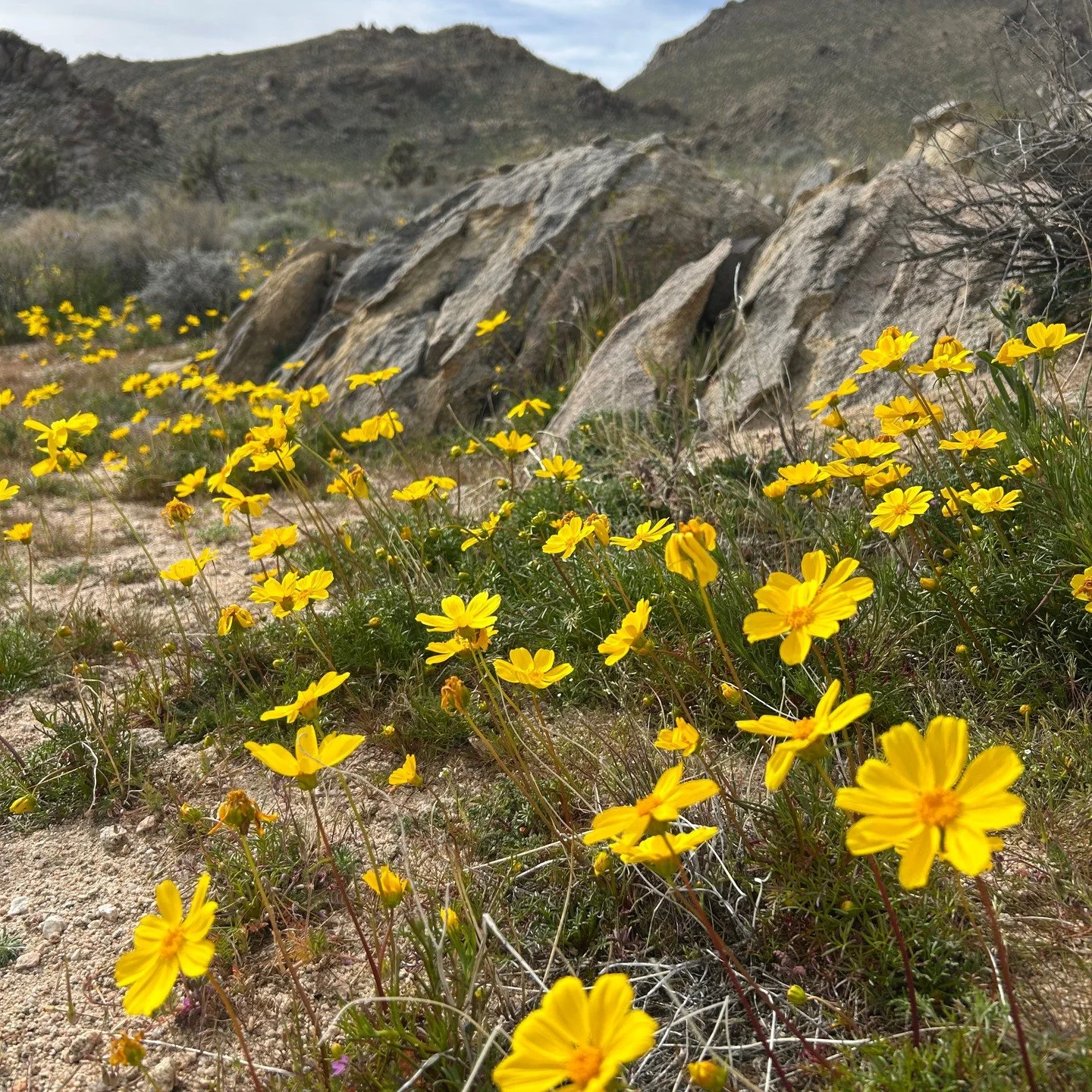 Our bodies move in harmony with nature&rsquo;s rhythms. The same intelligence that guides the seasons flows through our nervous system, breath, and inner landscape. 

Join us on 3/19 &amp; 3/20 for two soulful alignment sessions as we ritualize the N
