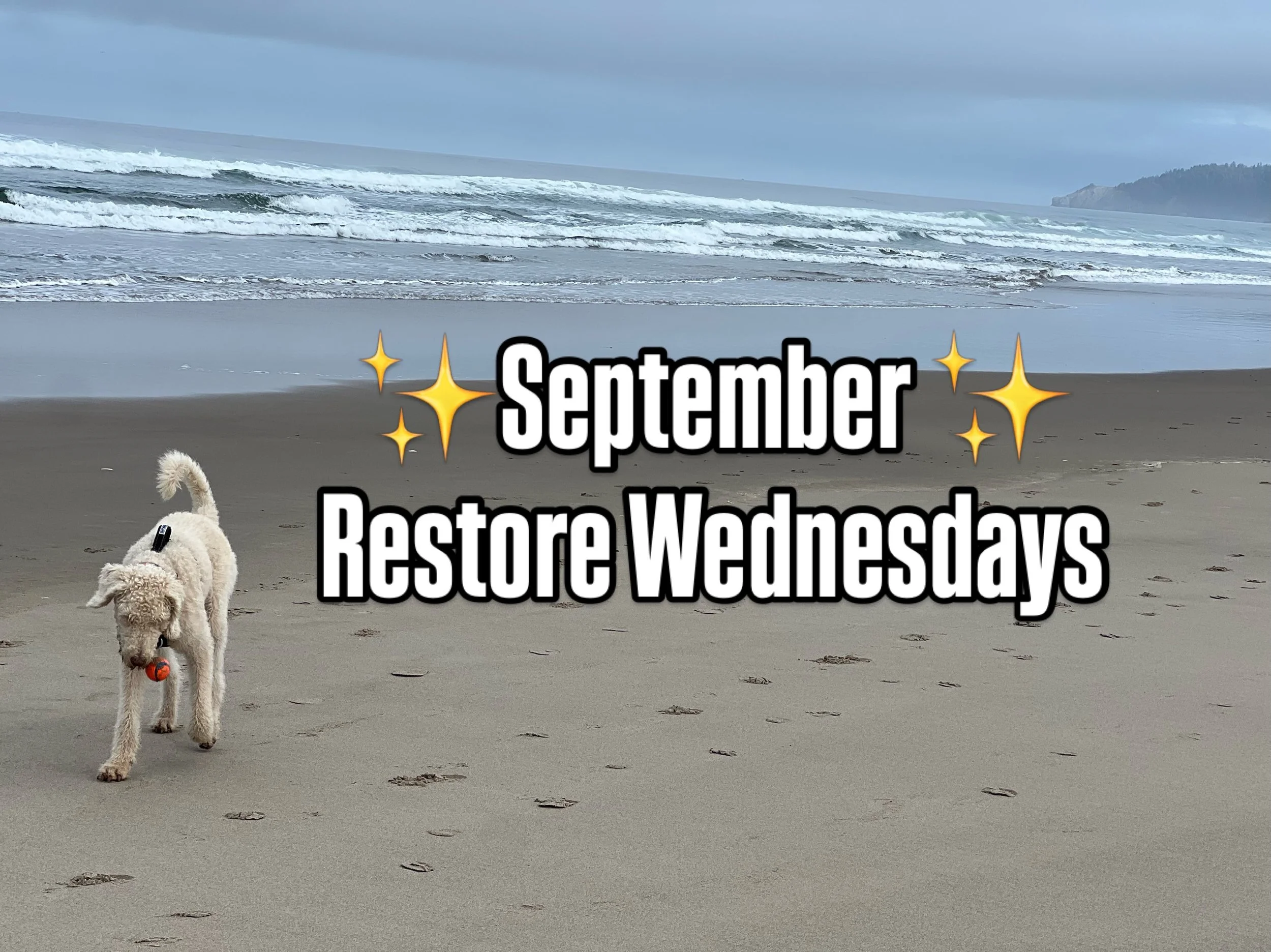 Crisp air is a sure signal, Fall is creeping in. Shed what no longer serves you, and invite in a bit of grounding as seasons change so do we. Restore Wednesday is 45 min to center and connect with potential.  Grab a mat, blanket &amp; tea and get onl