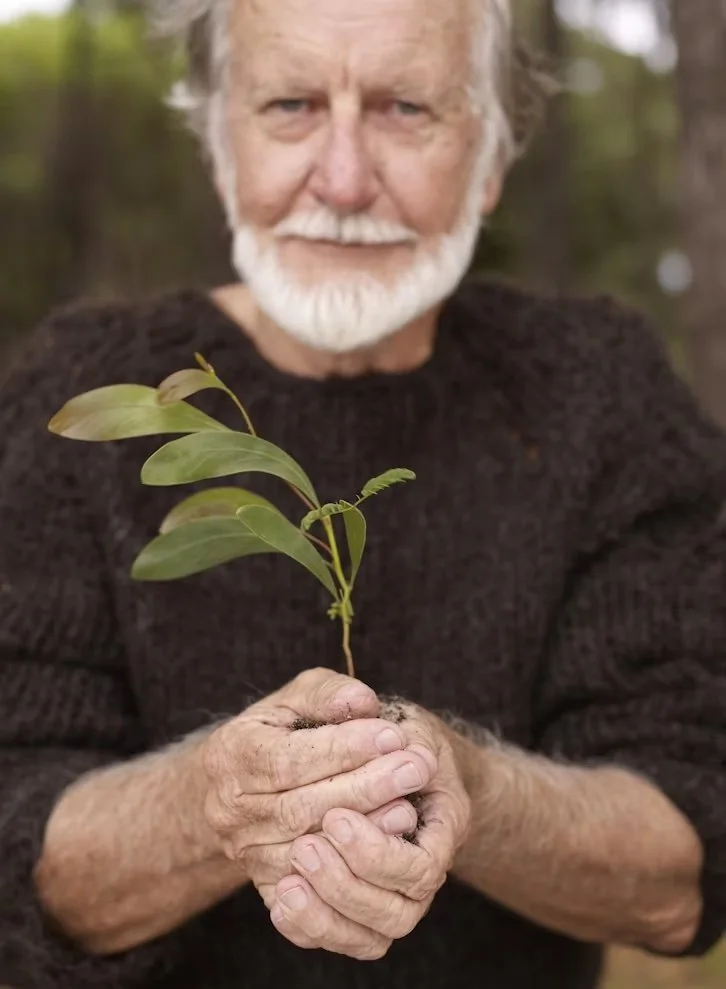 An elderly man with a white beard and wearing a dark sweater holds a small green plant with soil around its roots, outdoors in a wooded area.