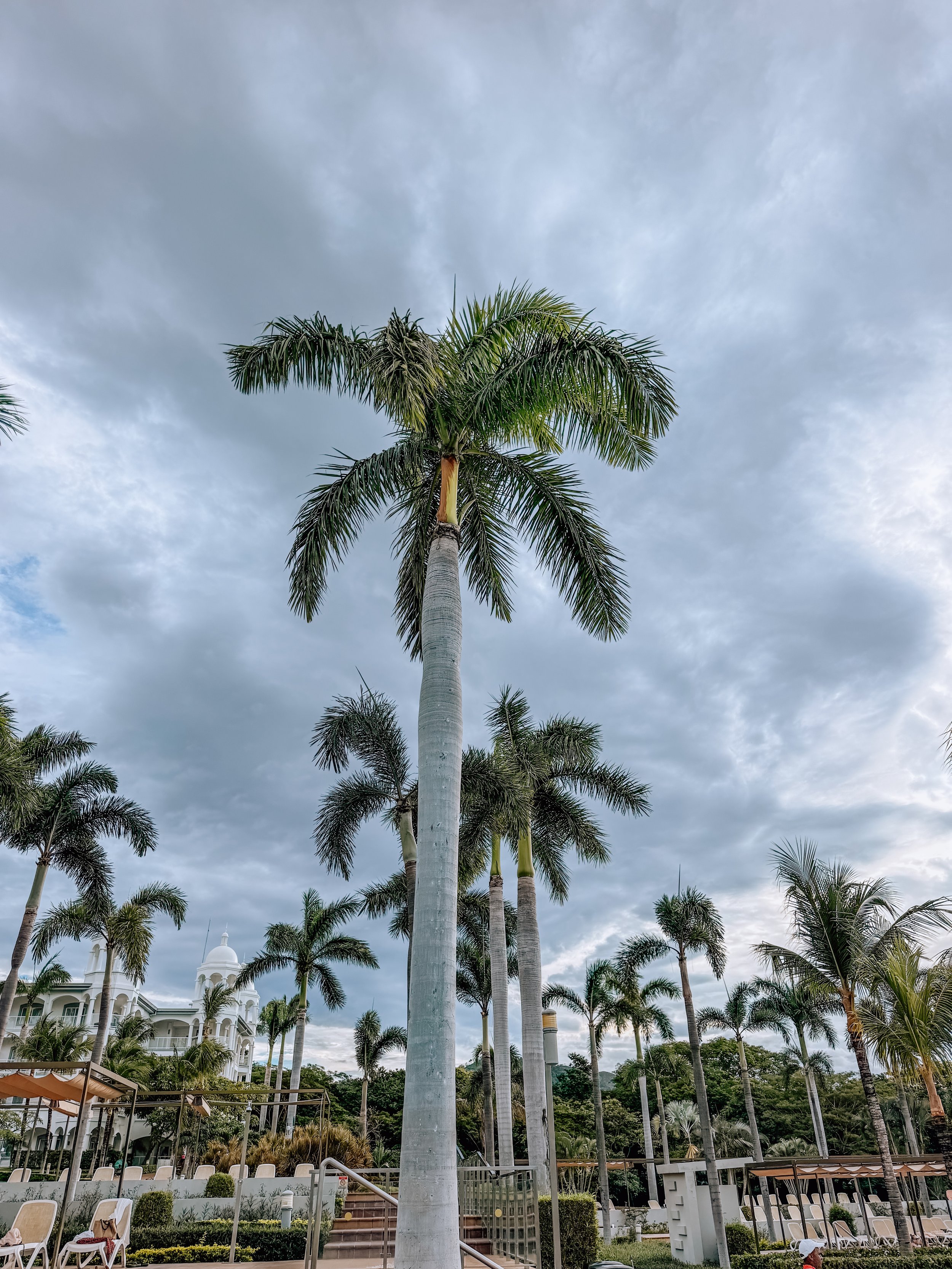 Costa Rica Travel Journal