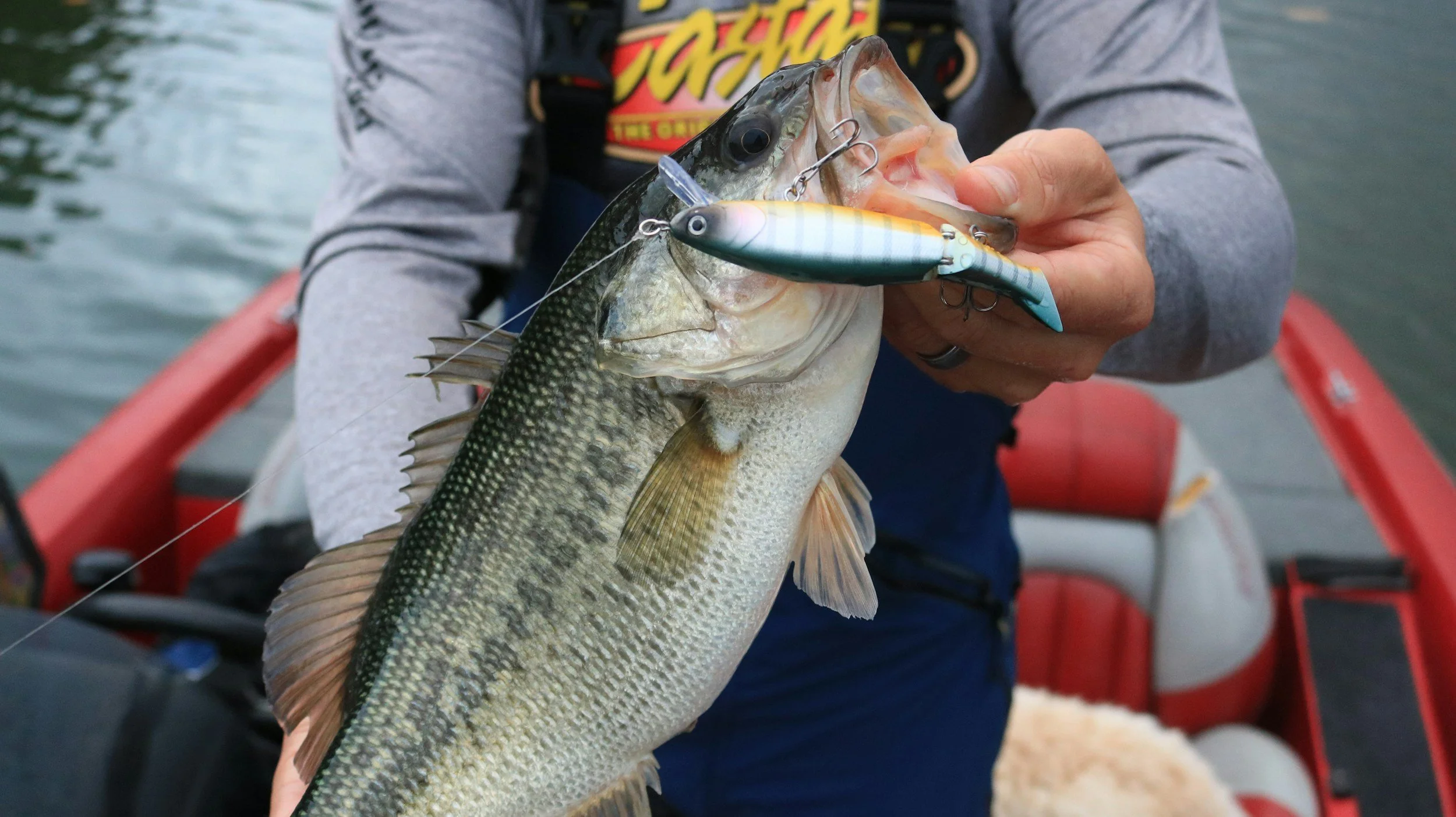 Person holding a largemouth bass with a fishing lure in its mouth, on a boat.