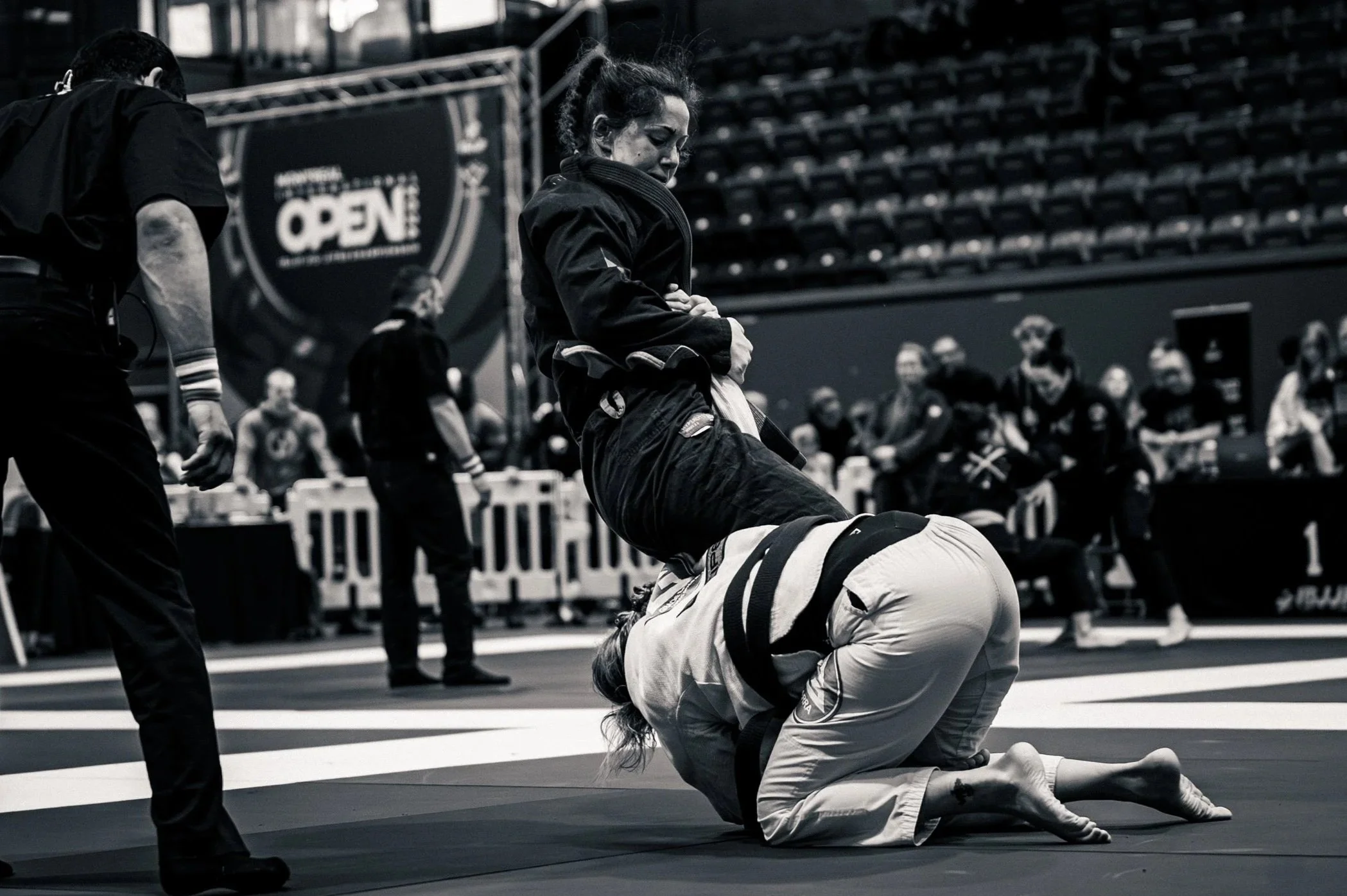 International+Braziliant+JIu-Jitsu+Federation.jpg