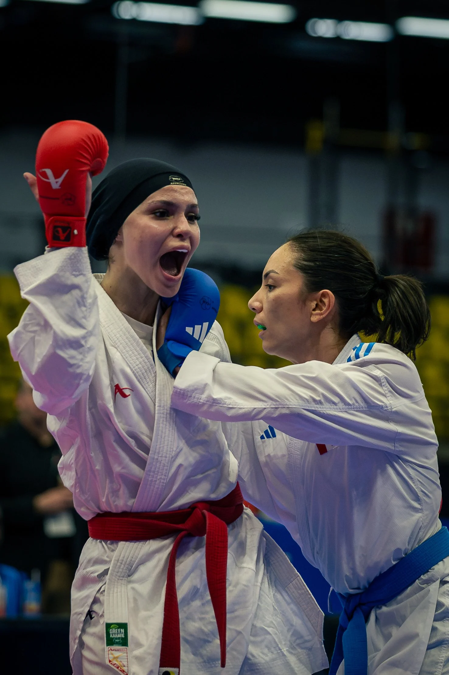 Two female karate competitors in white uniforms and colored belts, one with a red headgear and gloves, celebrating.